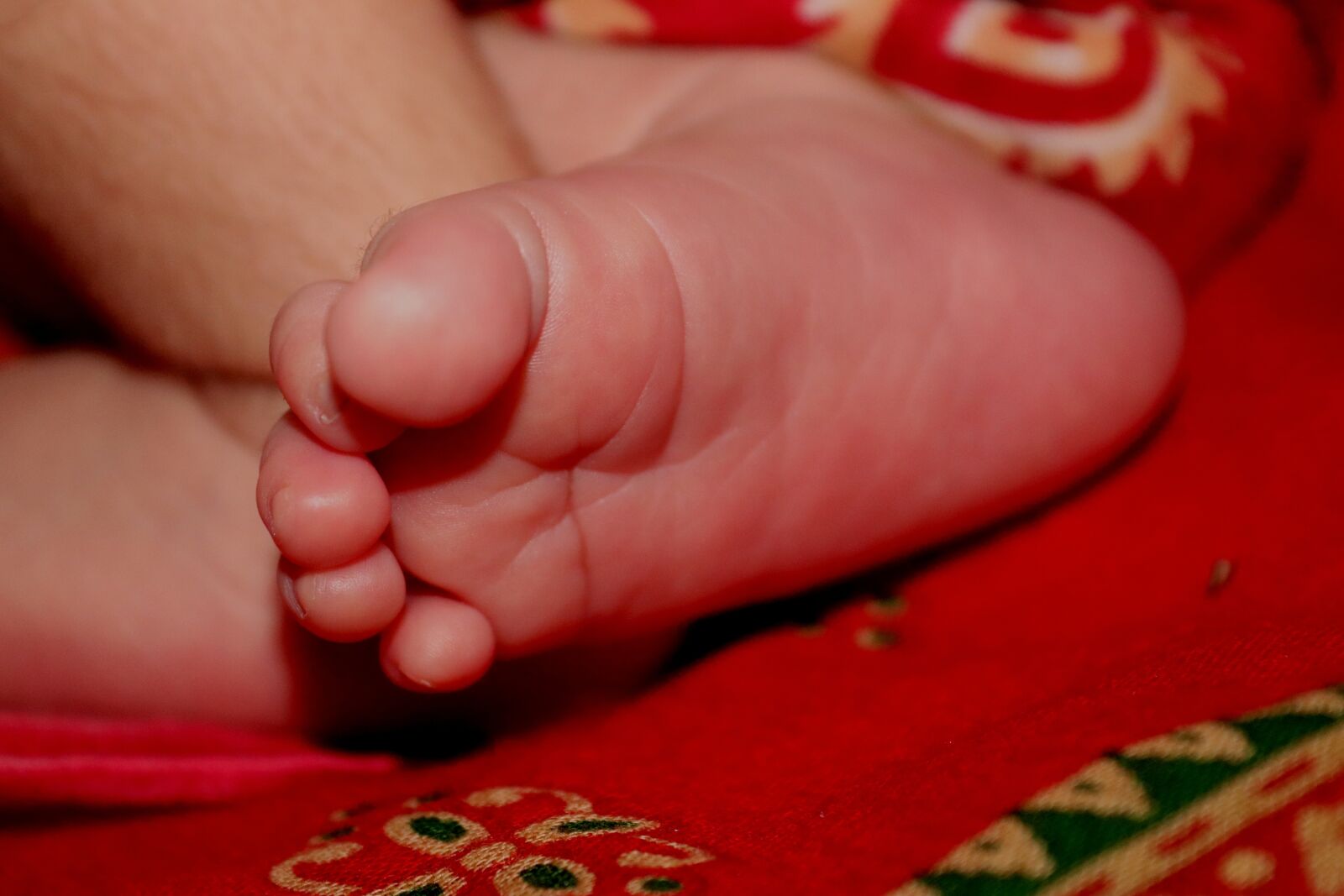 Canon EOS 200D (EOS Rebel SL2 / EOS Kiss X9) sample photo. Baby leg, tiny leg photography