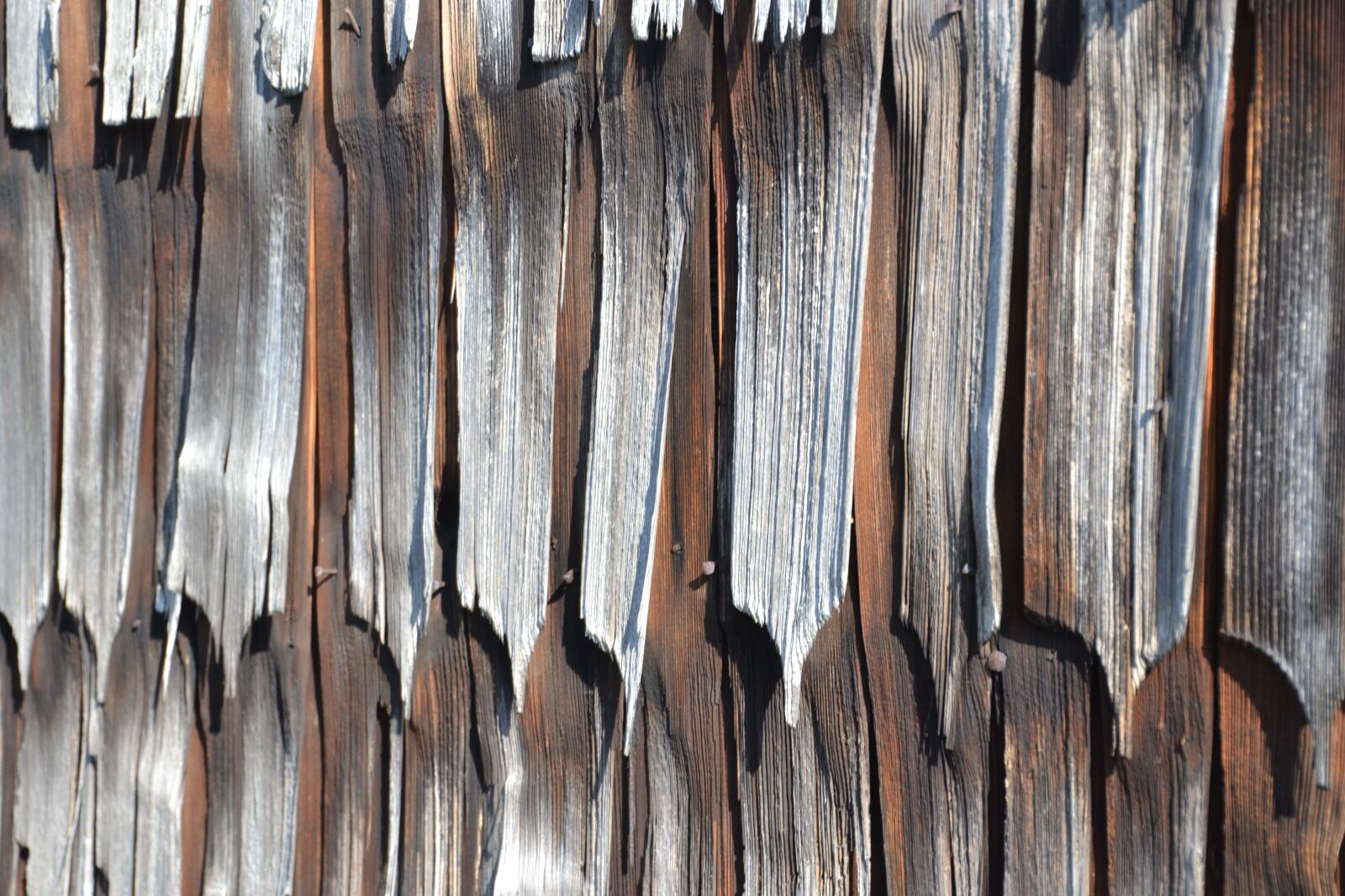 Nikon D3100 sample photo. Wood, old, wood shingles photography