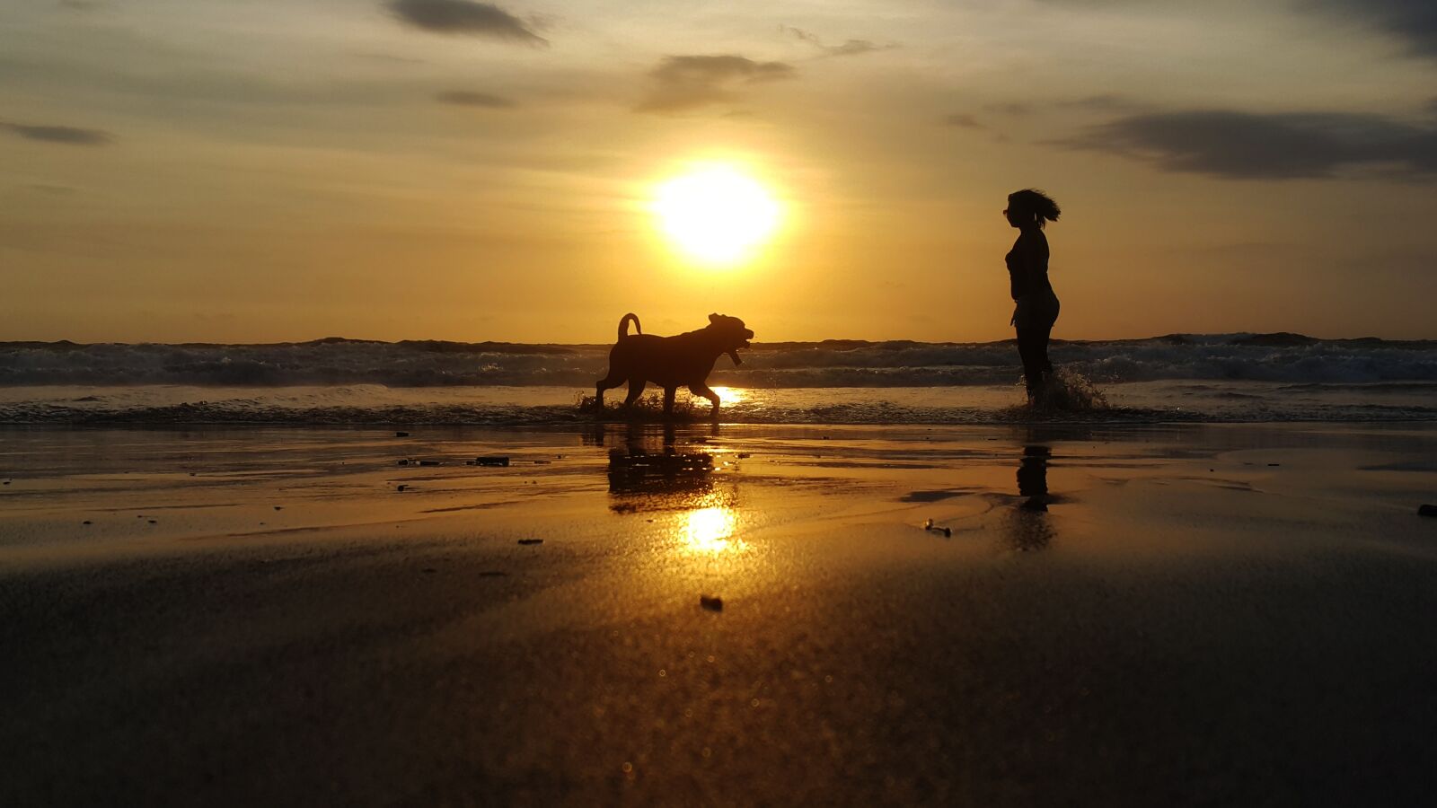 Samsung Galaxy Note4 sample photo. Beach, dog, pet photography