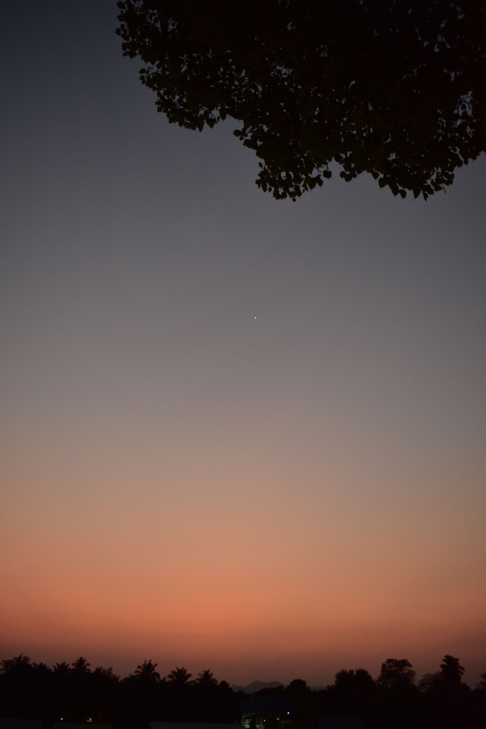 Nikon D5600 sample photo. Sunset, twilight, nature photography