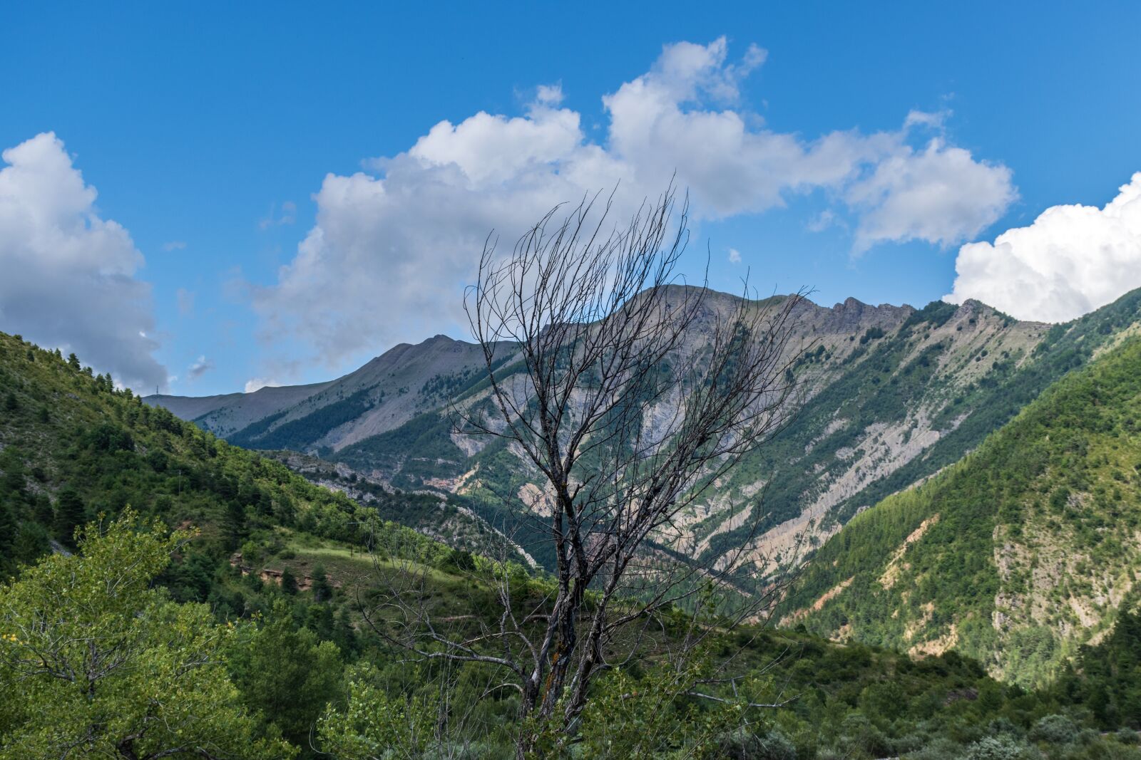 Nikon D5600 sample photo. Mountain, hills, basin photography