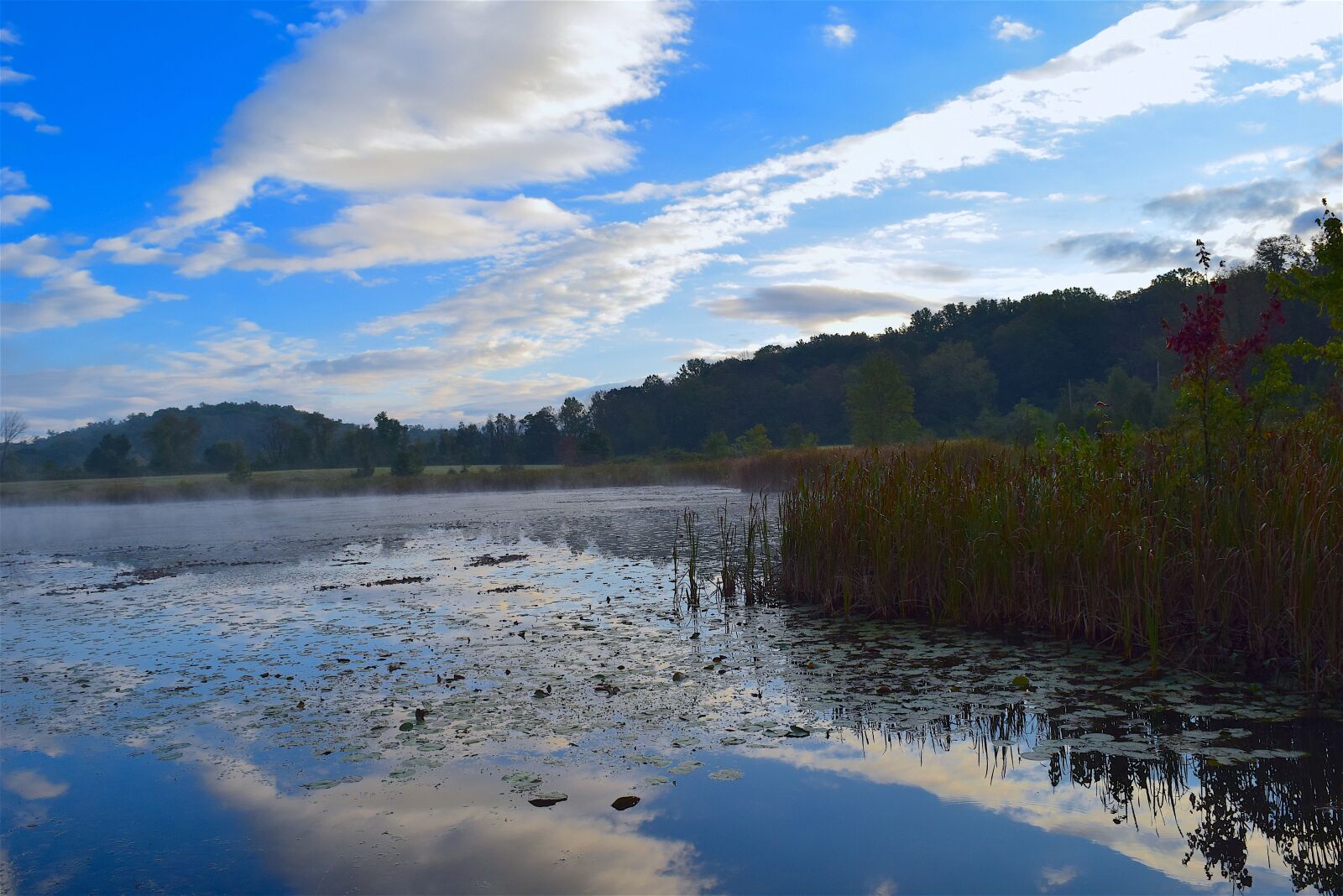 Nikon D3300 sample photo. Lake, water, reflection photography