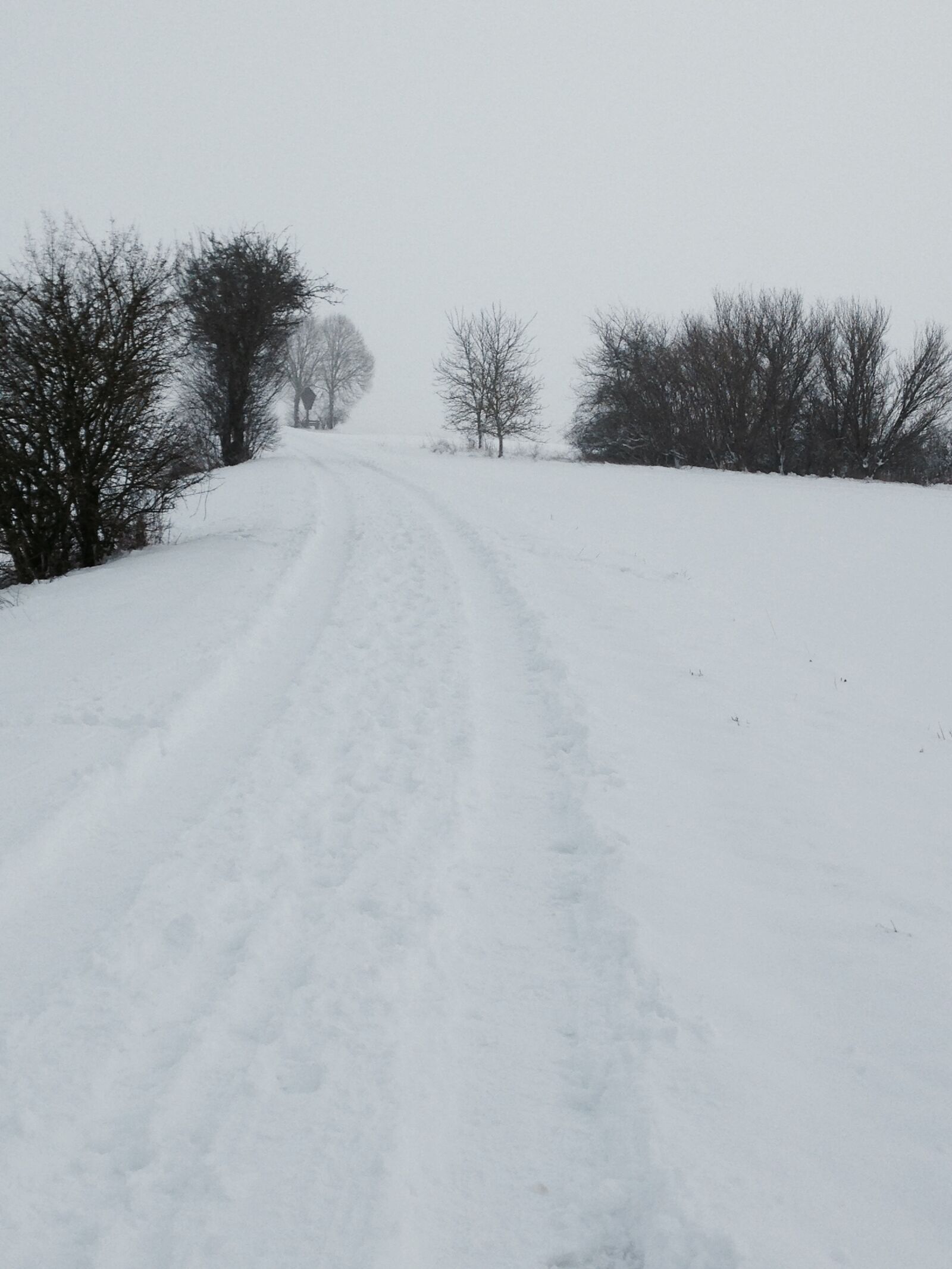 iPhone 5c back camera 4.12mm f/2.4 sample photo. Snow, landscape, winter photography