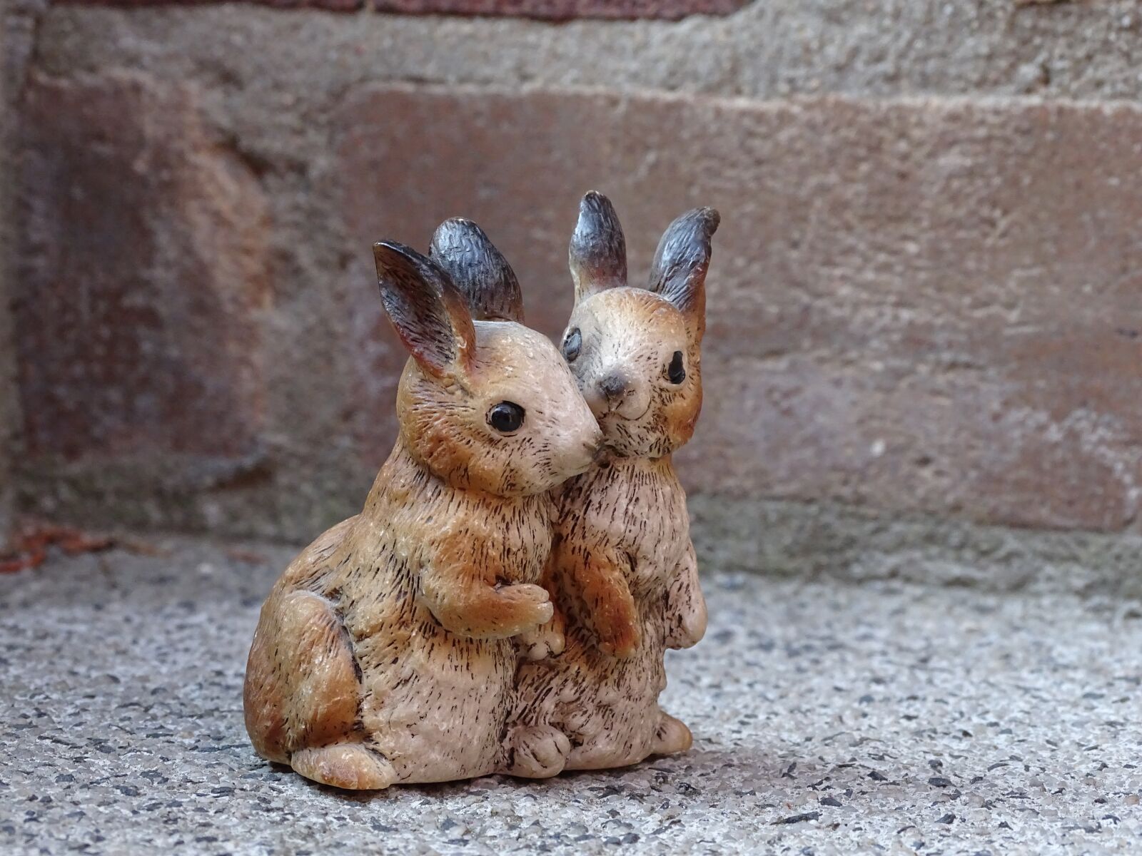 Sony Cyber-shot DSC-HX400V sample photo. Hare, bunny couple, couple photography