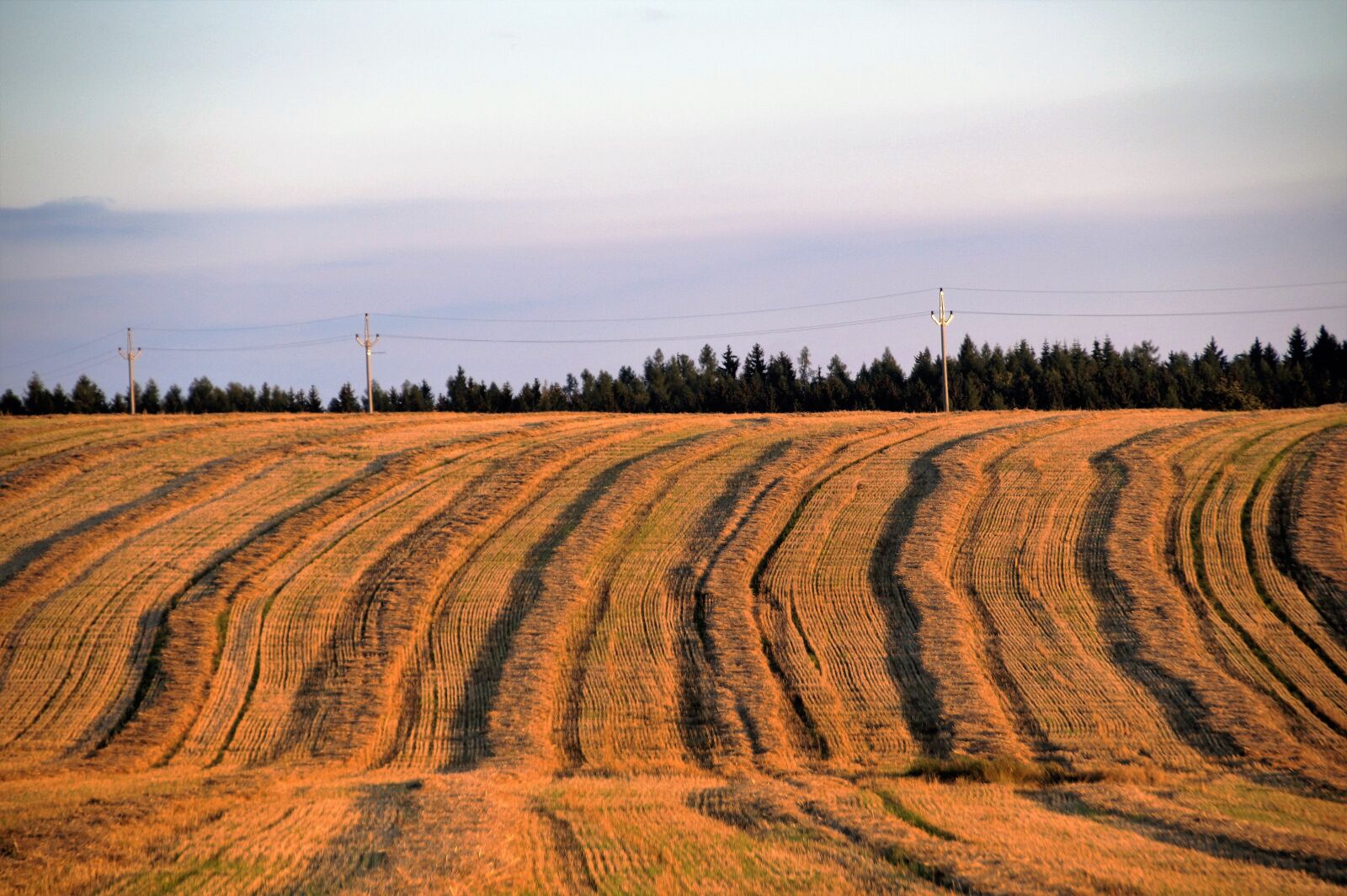 Sony SLT-A58 sample photo. Field, harvested, the undulating photography