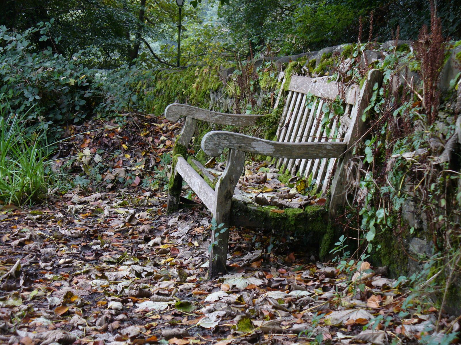 Panasonic DMC-LZ5 sample photo. Garden bench, bench, autumn photography