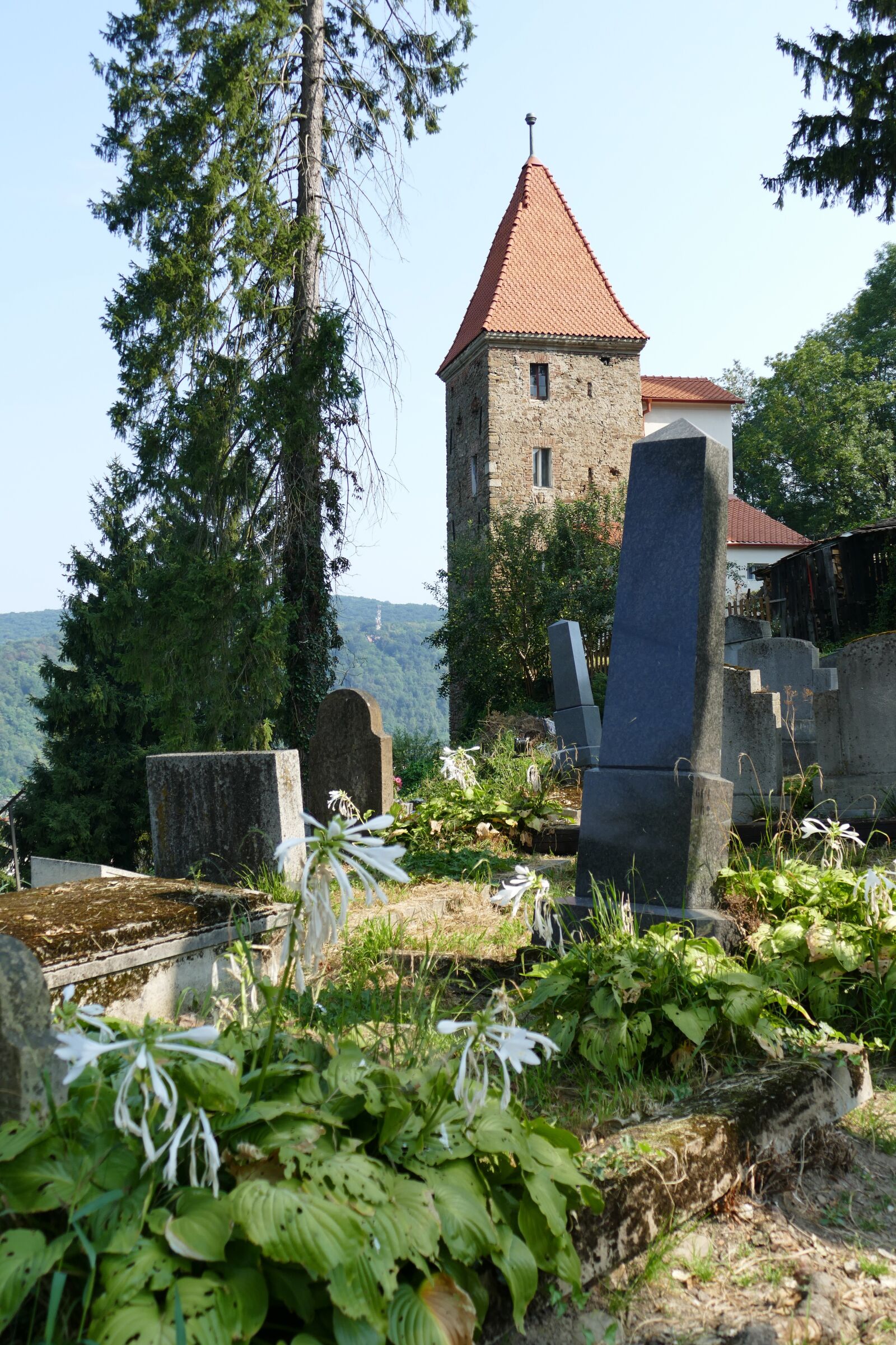 Panasonic Lumix DMC-FZ1000 sample photo. Sighisoara, romania, transylvania photography