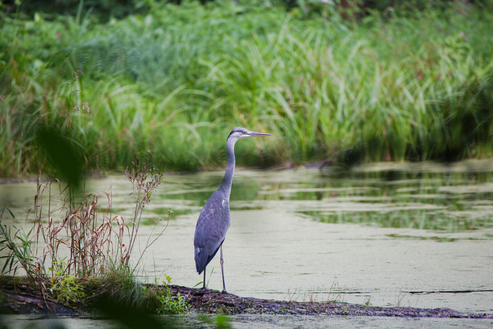 Canon EOS 6D sample photo. Waters, nature, lake photography