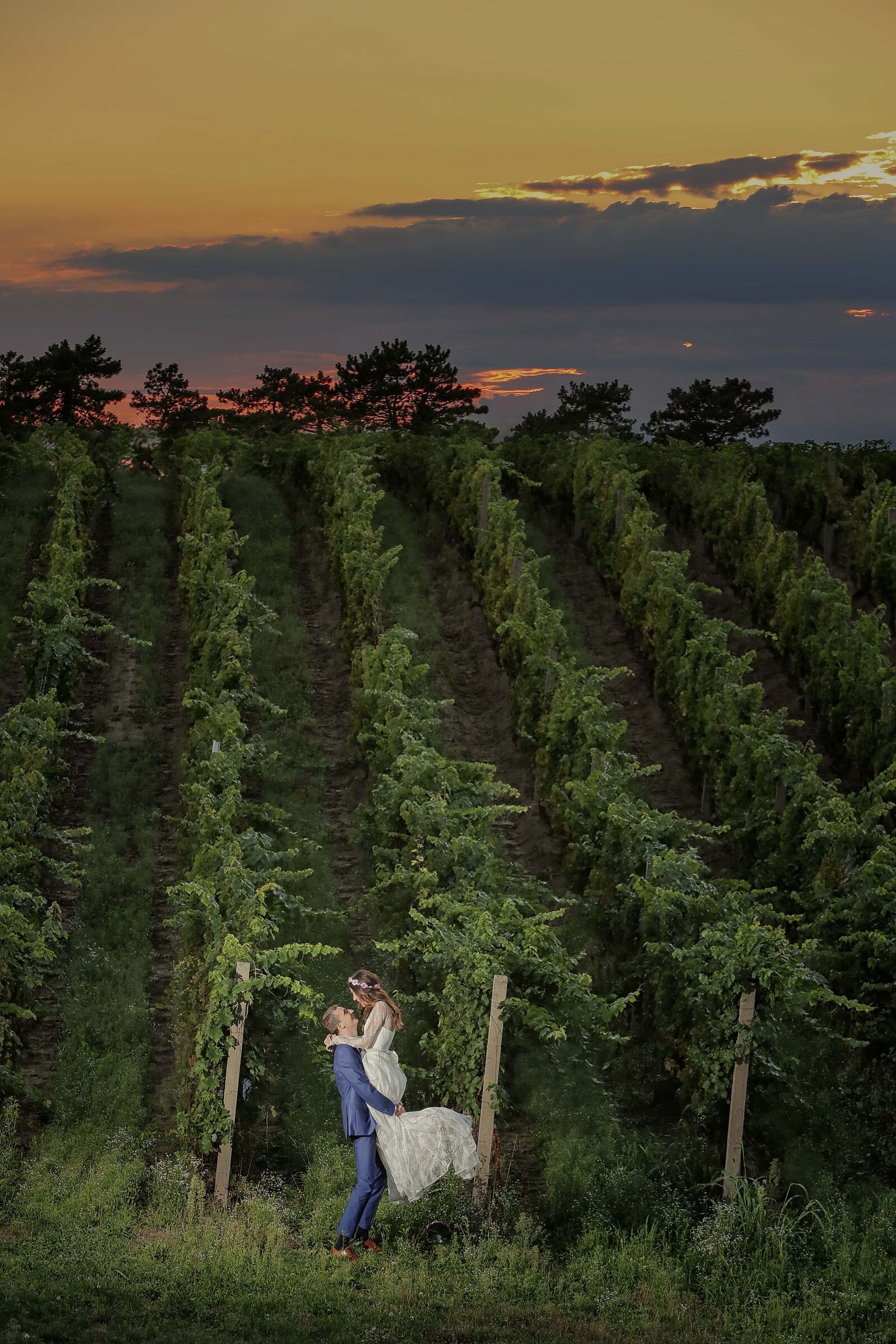 Canon EF 70-200mm F2.8L IS II USM sample photo. Hilltop, sunset, vineyard, man photography