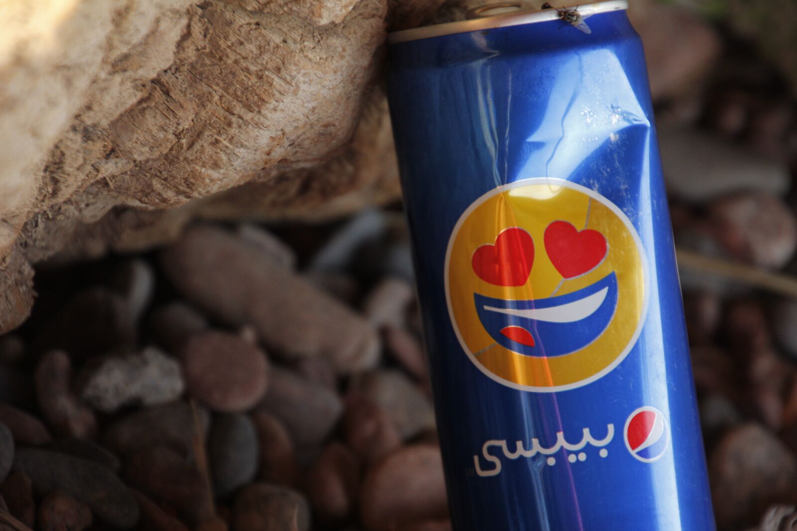 Canon EOS 60D sample photo. Garbage, box, love photography