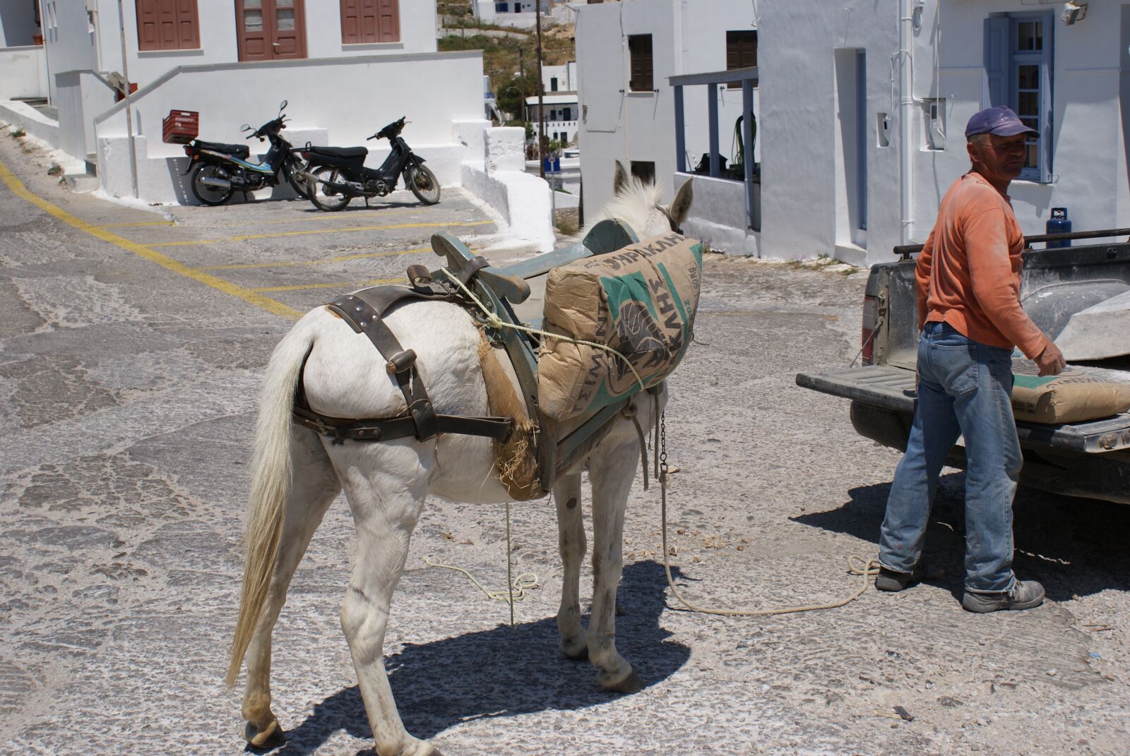 Sony Alpha DSLR-A200 sample photo. Donkey, greece, sea photography
