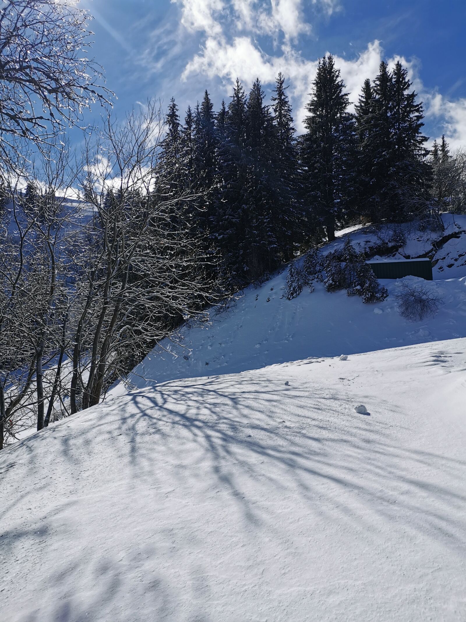 HUAWEI P30 sample photo. Winter, ski, mountain photography