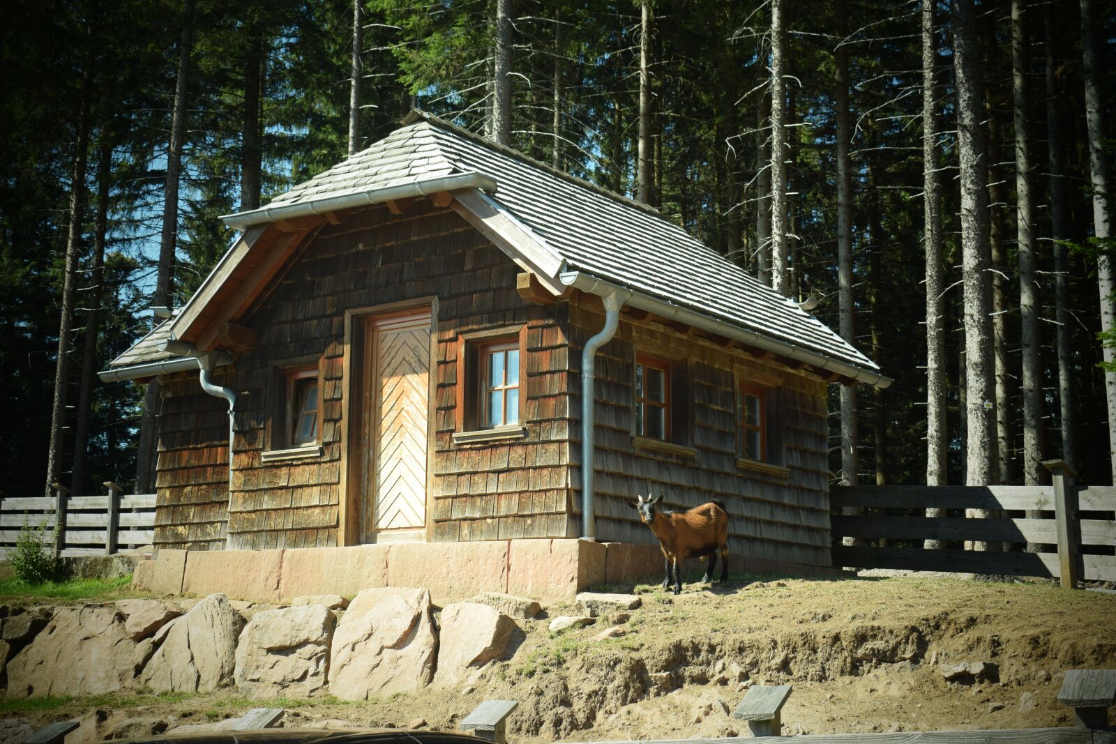 Nikon D3300 sample photo. Cabin, wood, hut photography