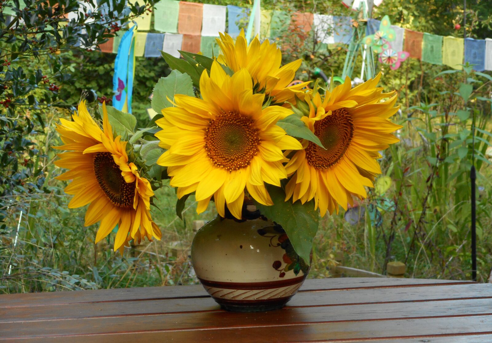 Nikon Coolpix S3700 sample photo. Sunflower, bouquet, sunflower field photography