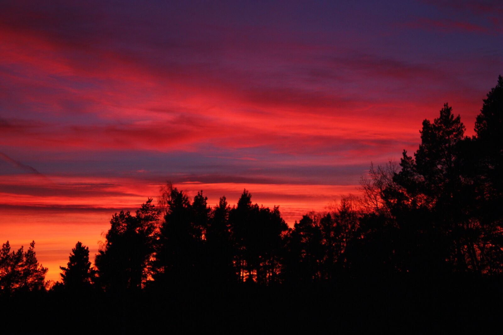 Canon EOS 450D (EOS Rebel XSi / EOS Kiss X2) sample photo. Sunset, evening, sky photography