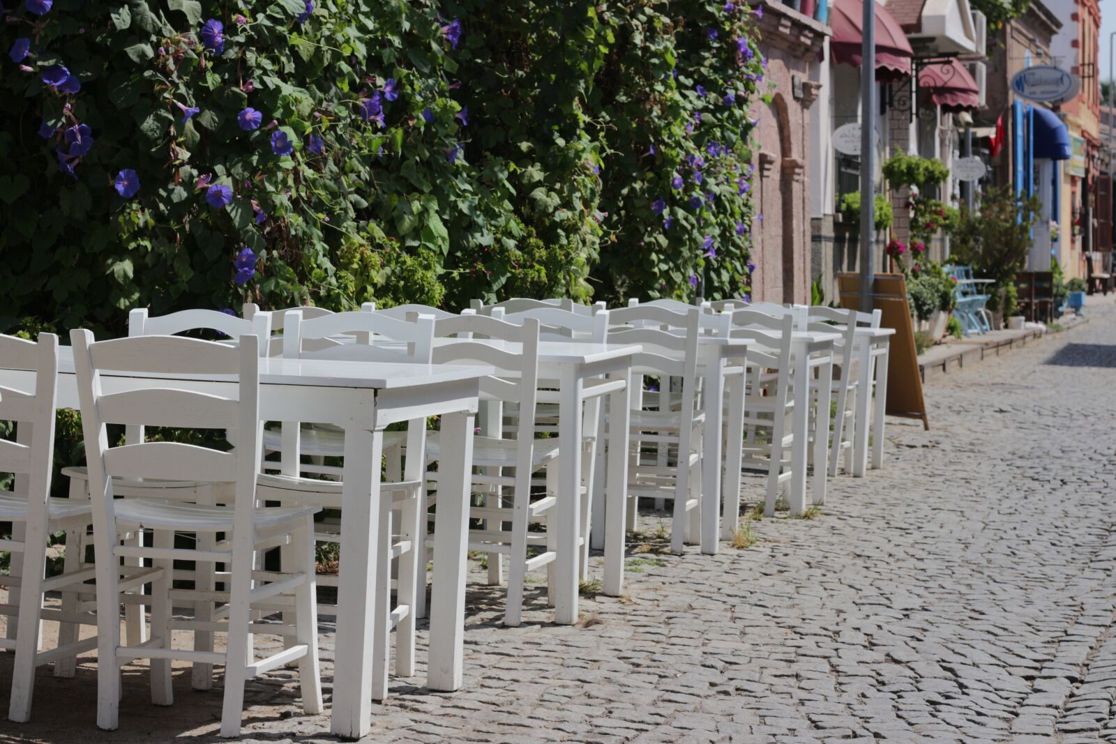 Canon EOS 650D (EOS Rebel T4i / EOS Kiss X6i) + Canon EF 50mm F1.8 STM sample photo. Restaurant, chair, cobblestone photography