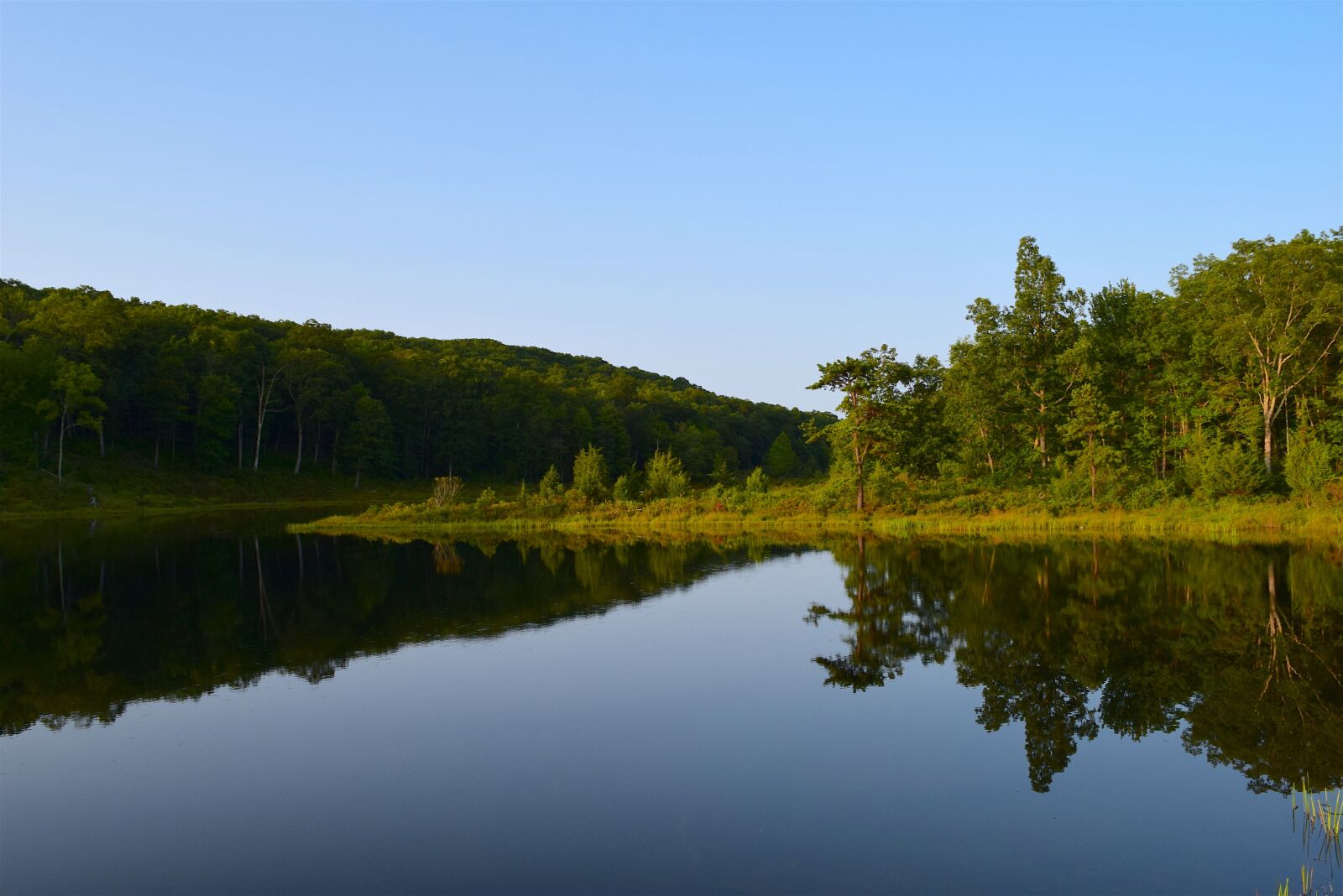 Nikon D3300 sample photo. Lake, reflection, park photography