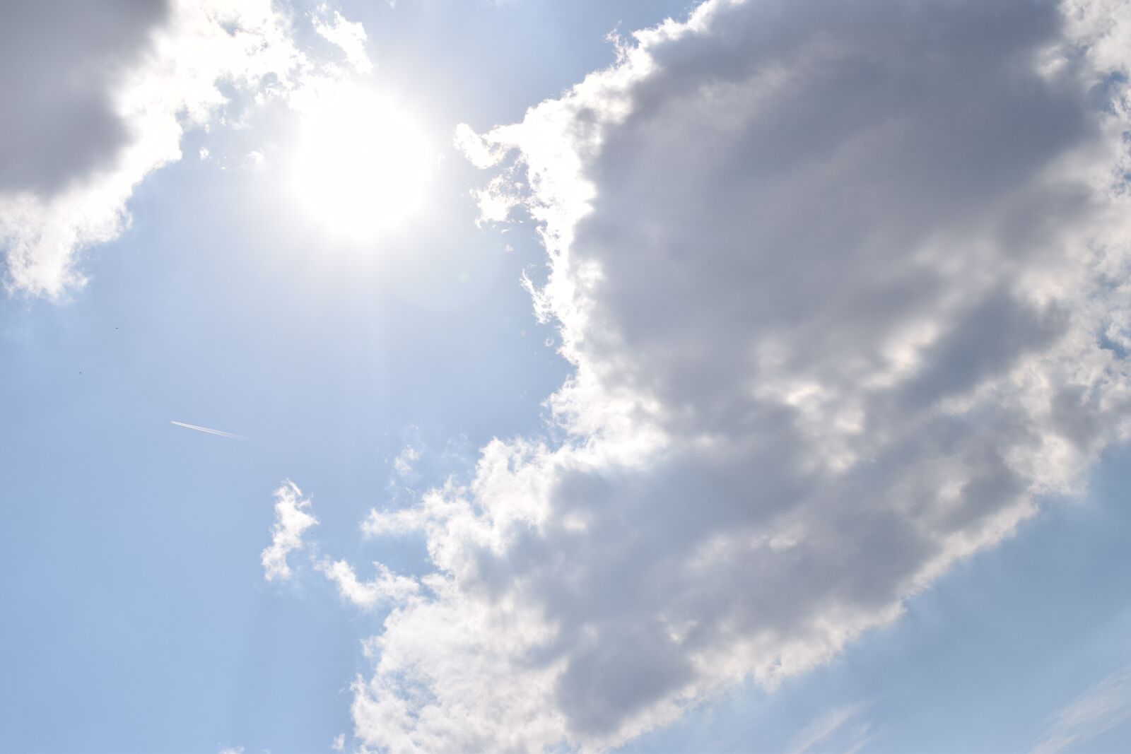 Nikon D3300 sample photo. Summer, sky, nature photography