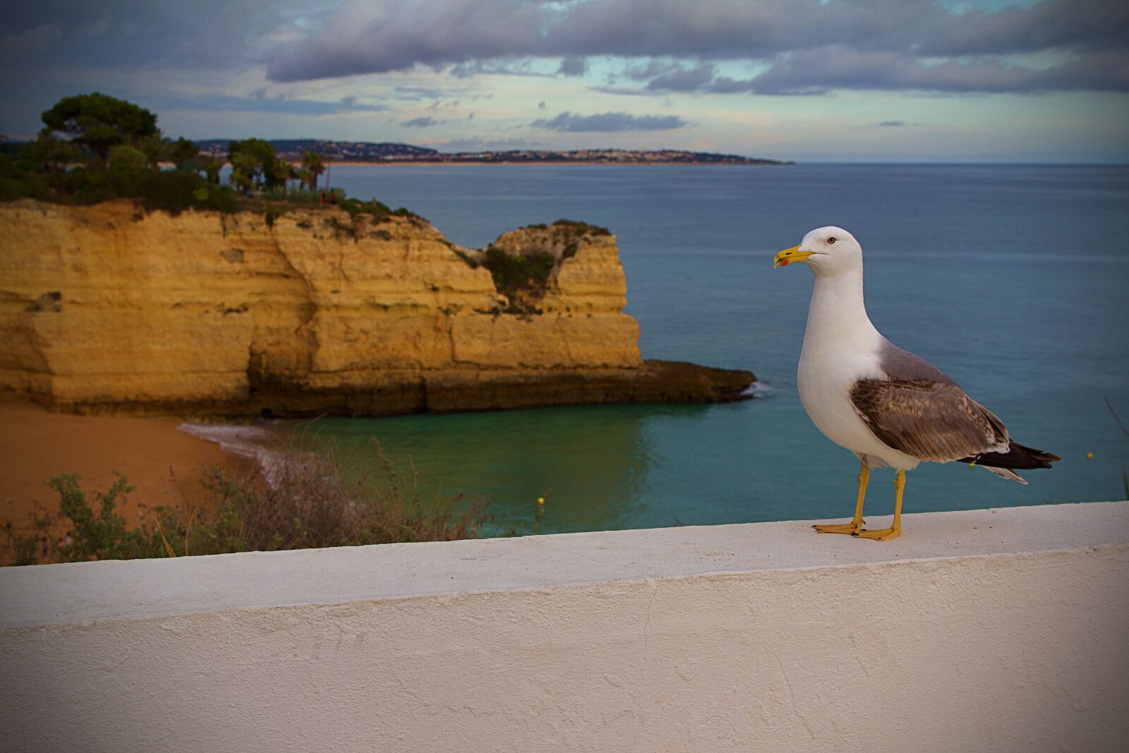Canon EOS 600D (Rebel EOS T3i / EOS Kiss X5) sample photo. Portugal, albufeira, portuguese photography