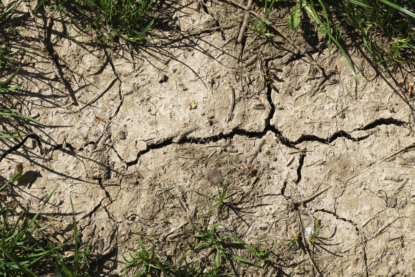 Panasonic Lumix DMC-FZ1000 sample photo. Arable, ground, halme photography