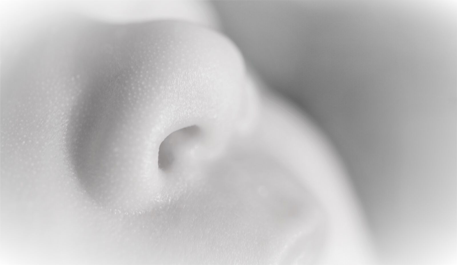 Sony a6000 sample photo. Nose, baby, infant photography