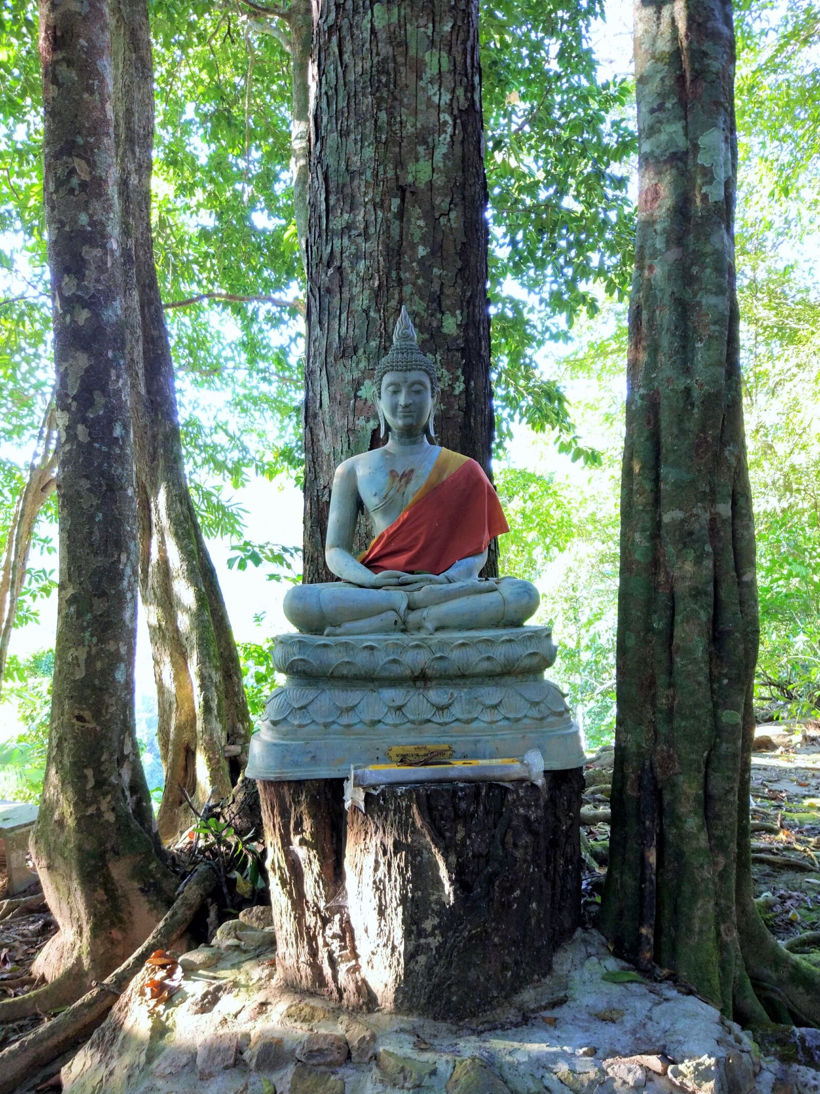 Xiaomi MI 5 sample photo. Buddha, tree, temple photography