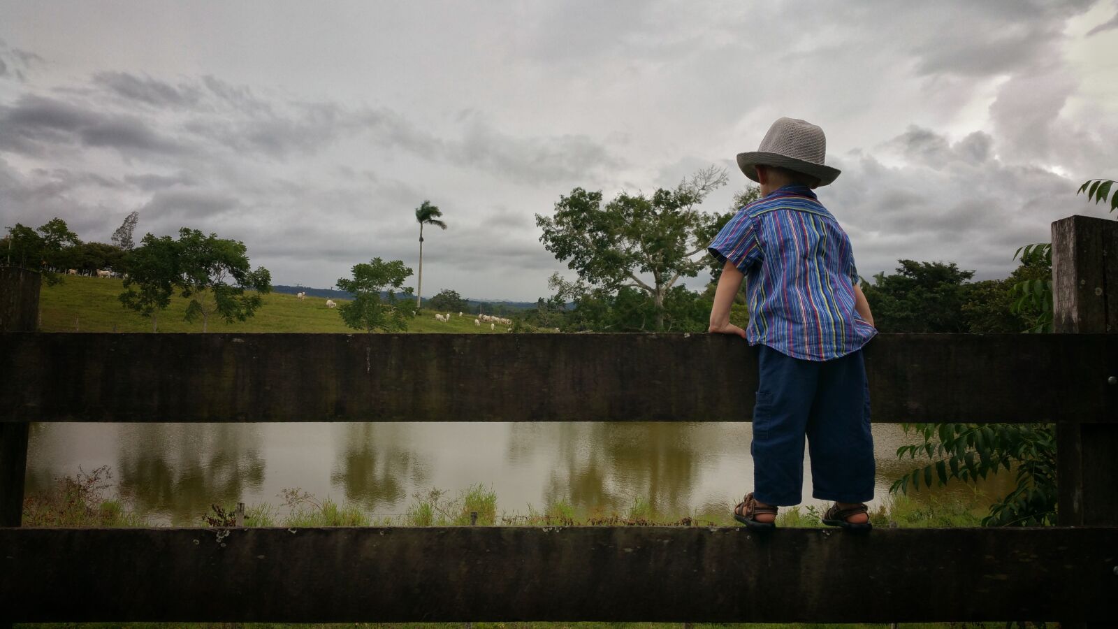 Samsung Galaxy Note4 sample photo. Child, board fence, farm photography