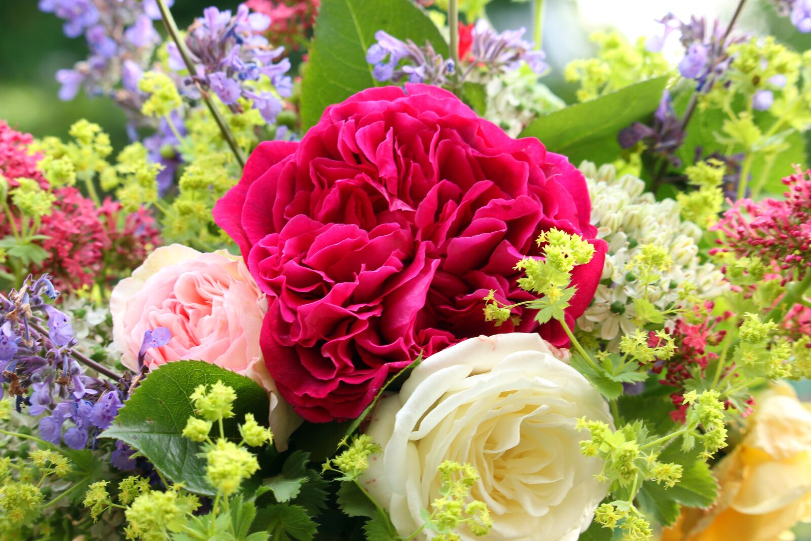 Canon EF-S 55-250mm F4-5.6 IS STM sample photo. Bouquet, summer, summer bouquet photography