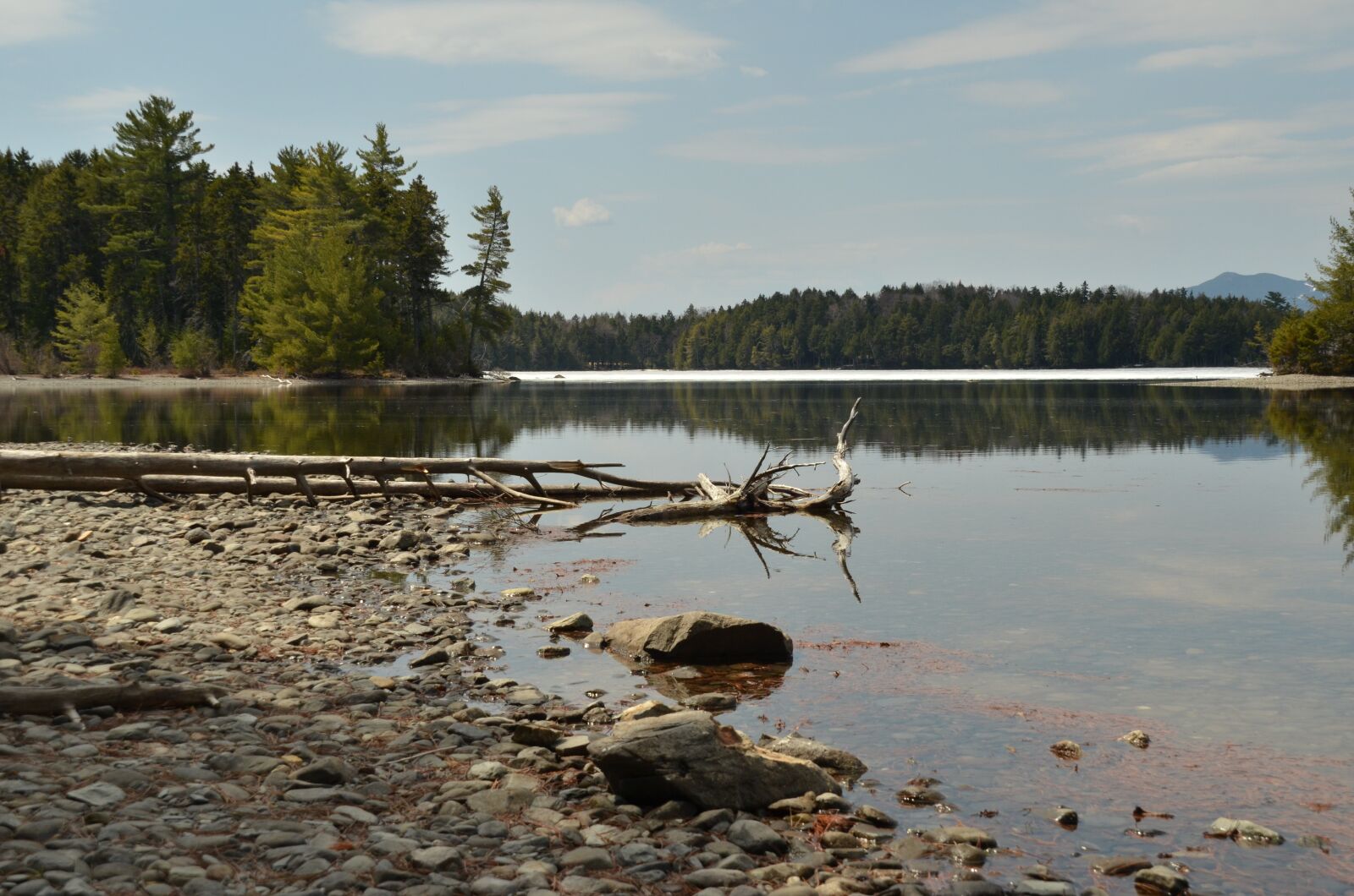 Nikon D7000 sample photo. More, forest, tree beach photography