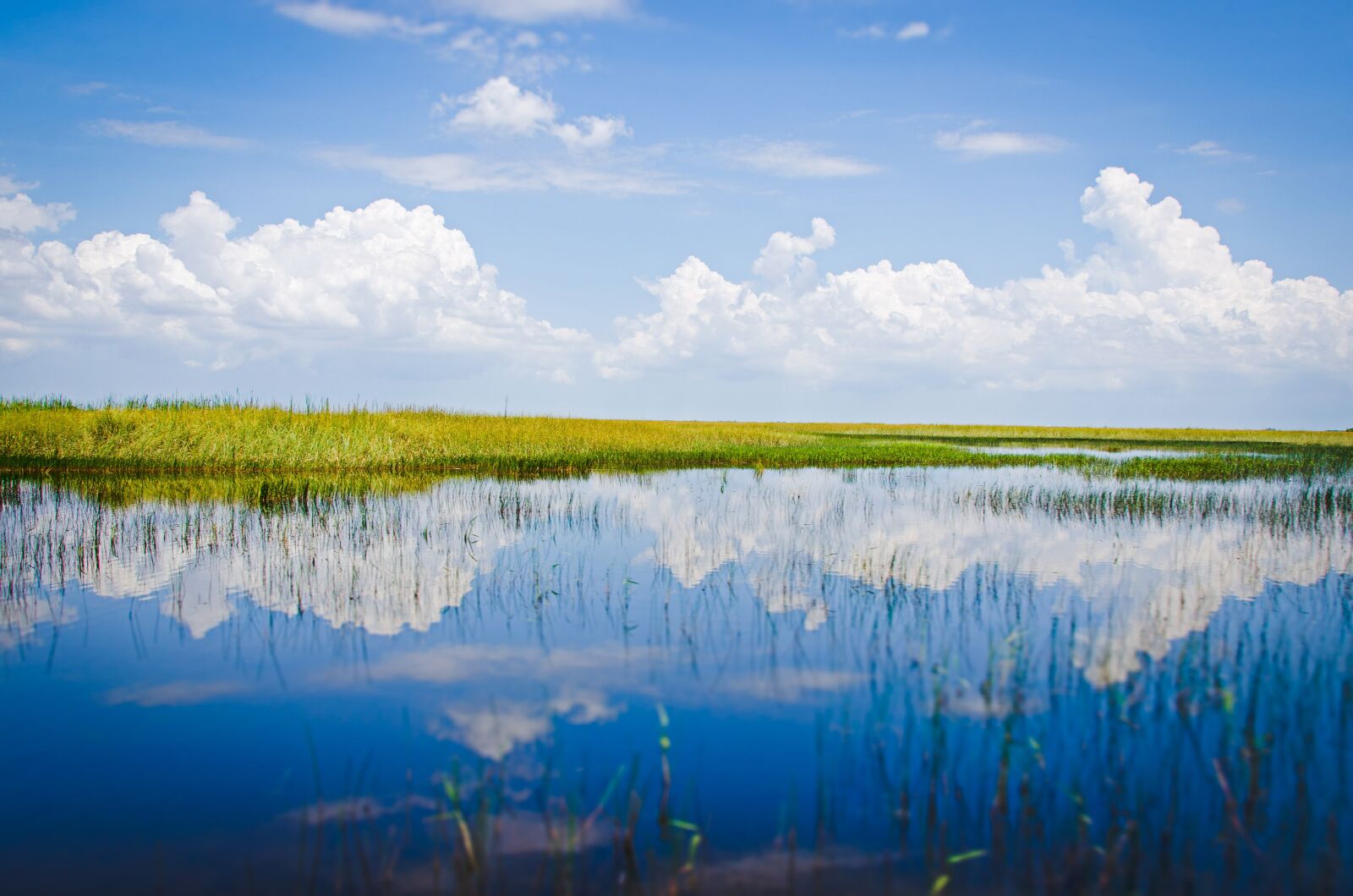 Nikon D7000 sample photo. Miami, usa, everglades photography
