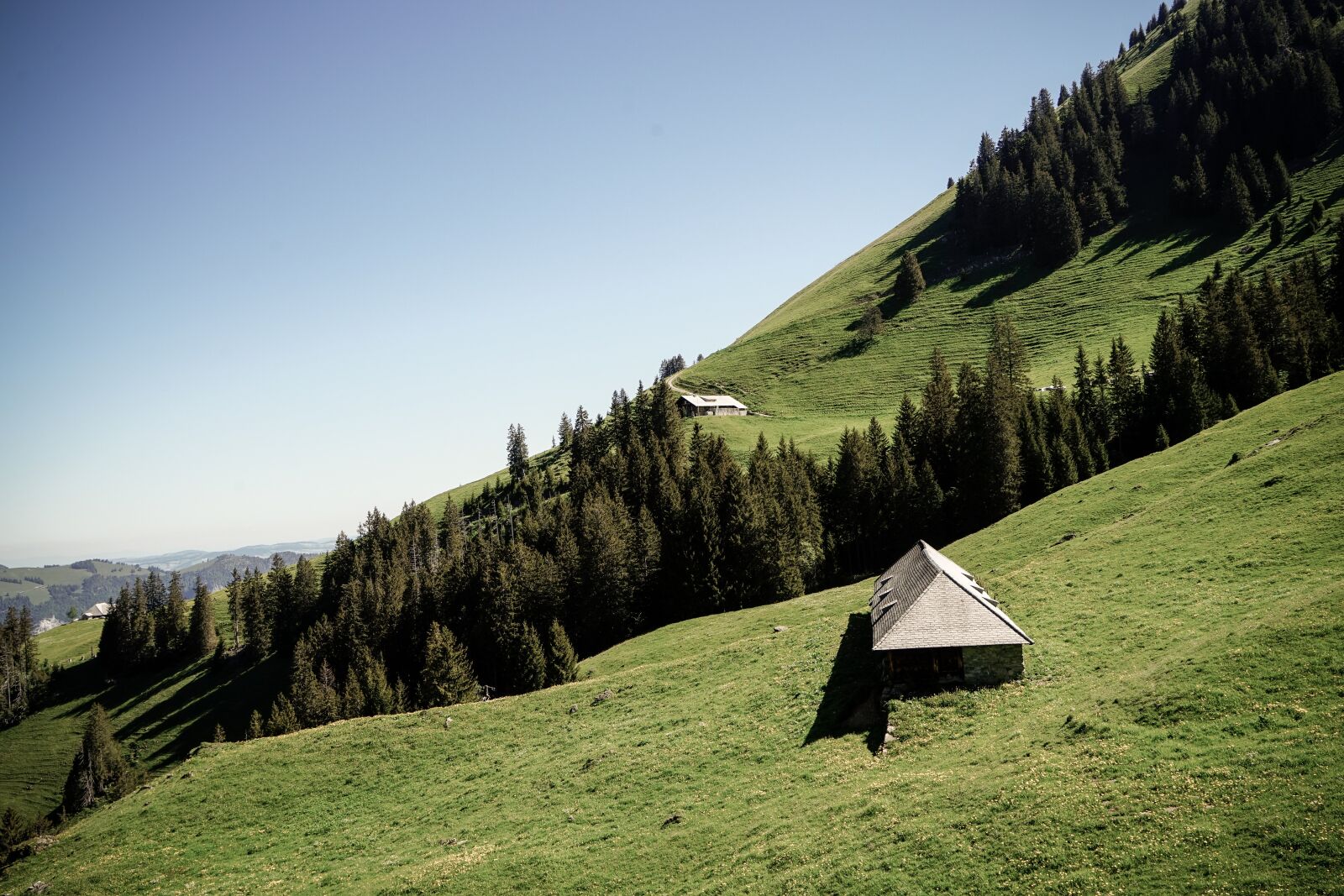 Sony Vario Tessar T* FE 24-70mm F4 ZA OSS sample photo. Switzerland, diemtigtal, hiking photography