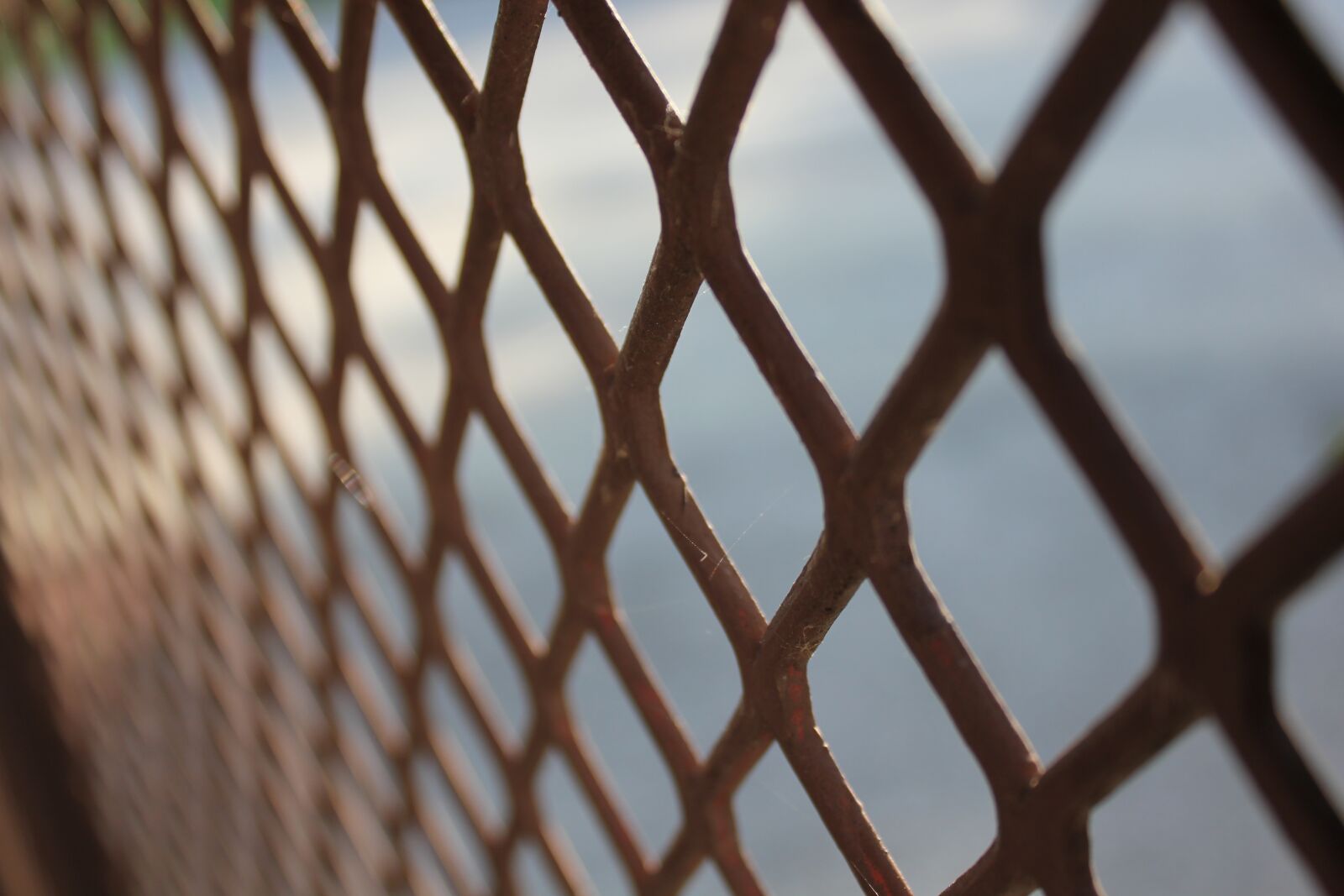 Canon EOS 550D (EOS Rebel T2i / EOS Kiss X4) sample photo. Eye, metal, steel photography