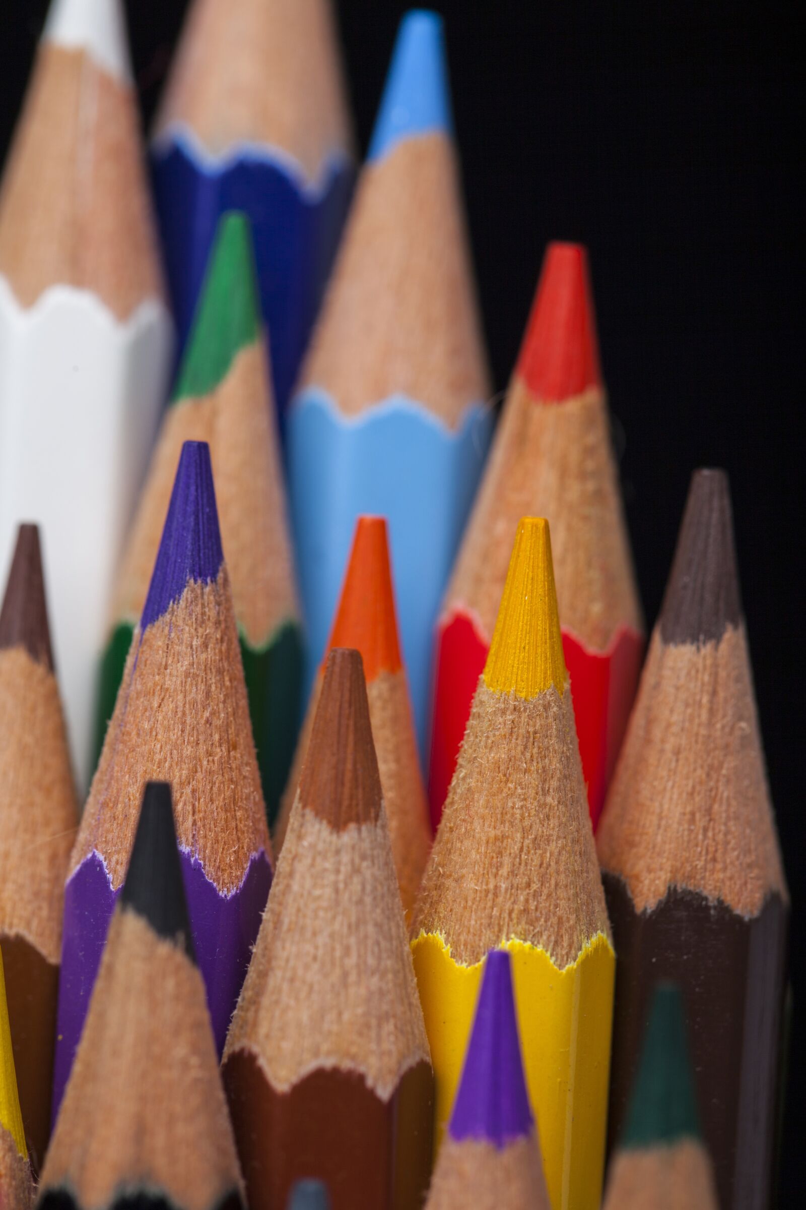 Canon EF 100mm F2.8L Macro IS USM sample photo. Pen, color, pencil photography