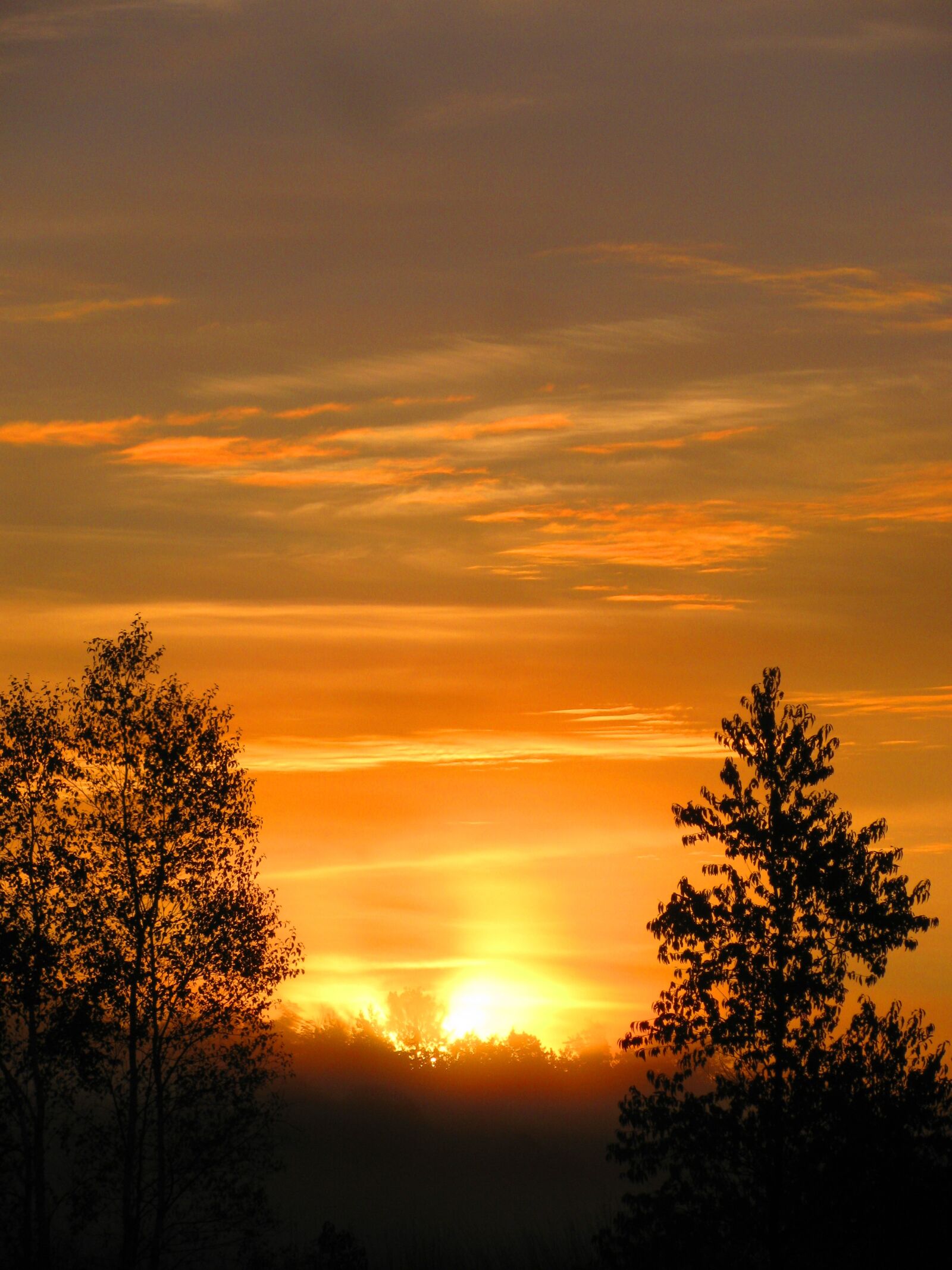 Canon PowerShot SX110 IS sample photo. Sunset, evening, orange photography