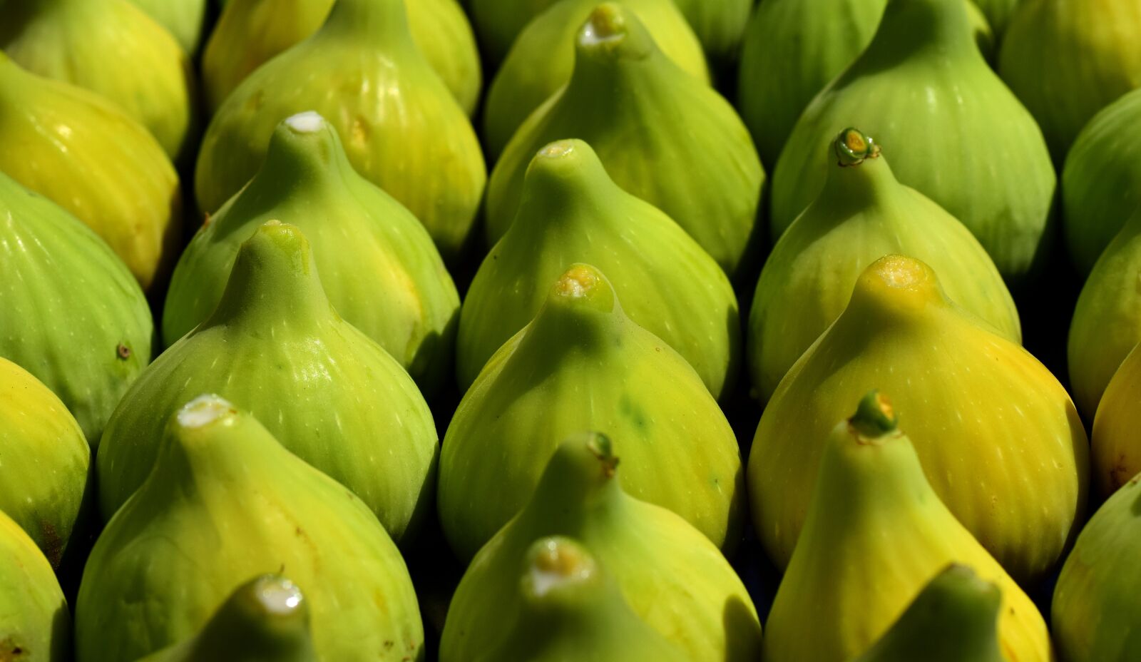Nikon D3300 sample photo. Figs, green figs, green photography