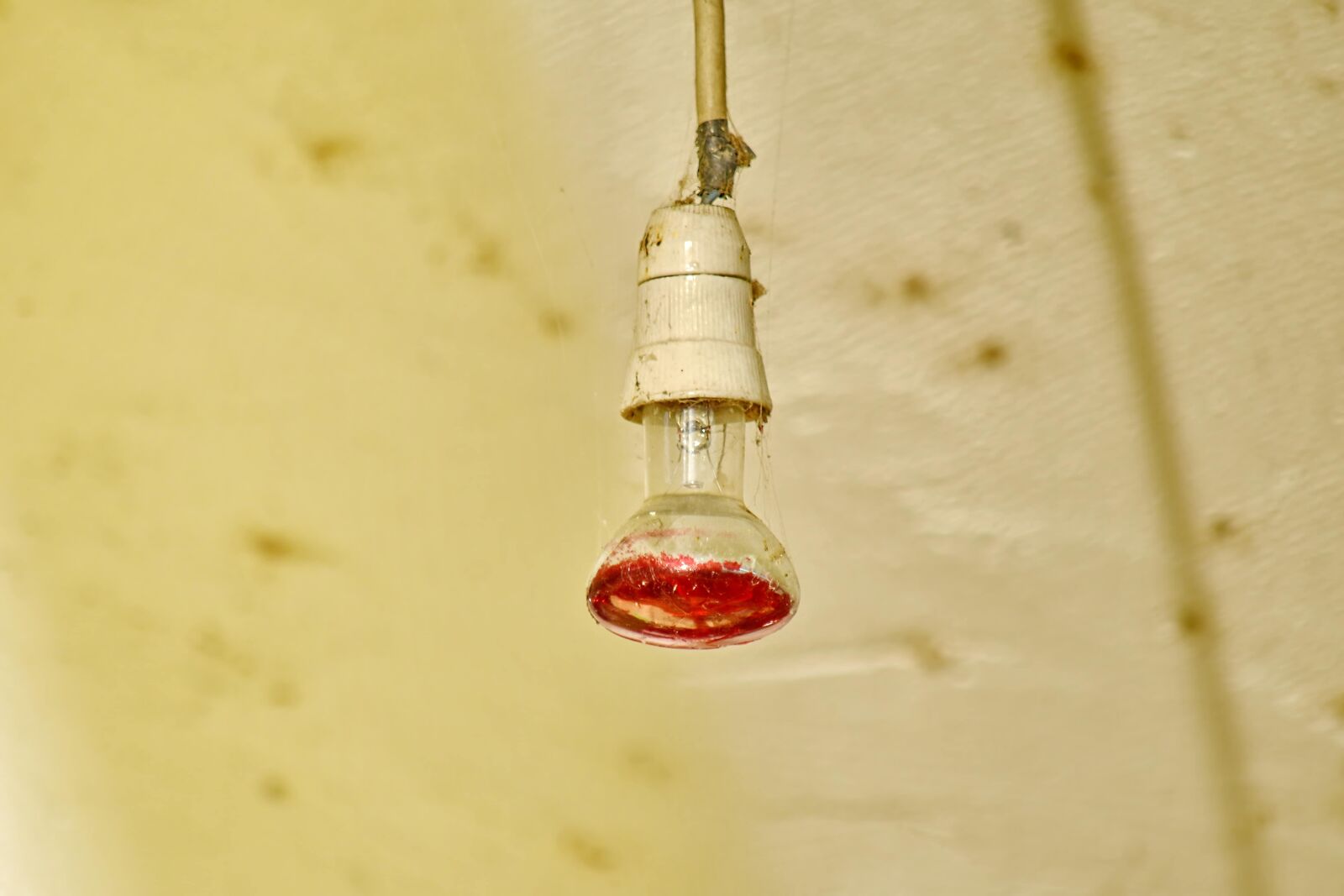 Nikon D5500 sample photo. Abandoned, ceiling, decay, light photography