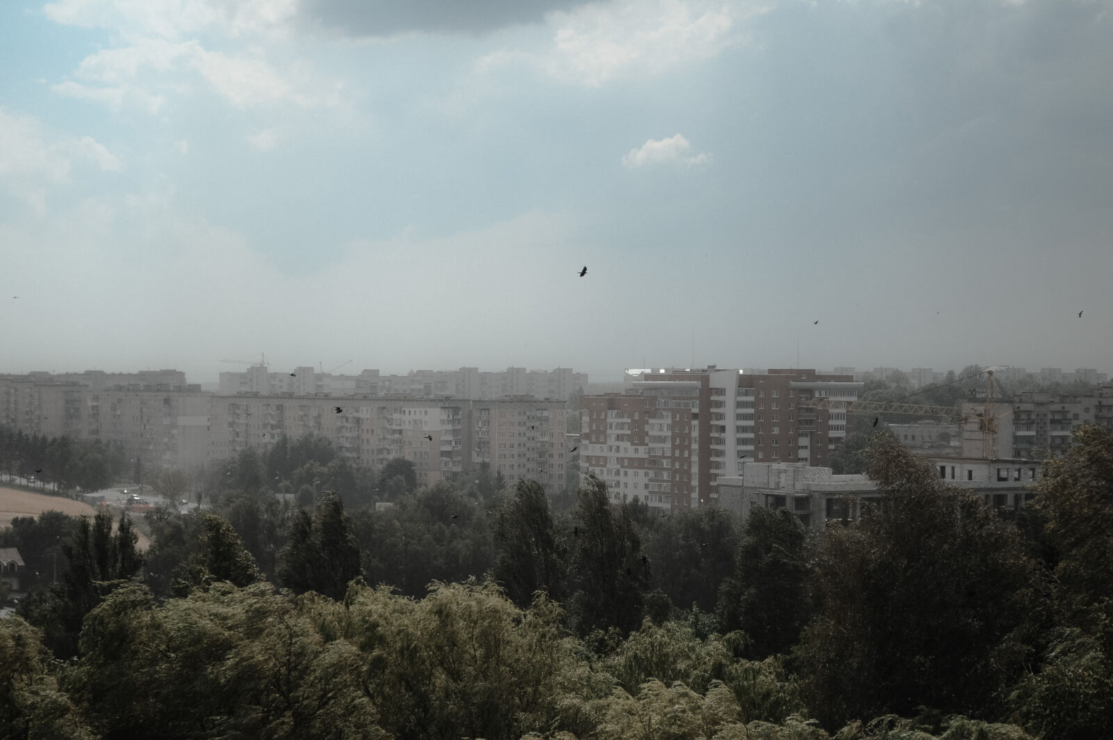 Nikon D5000 sample photo. Gray, sky, negatives photography