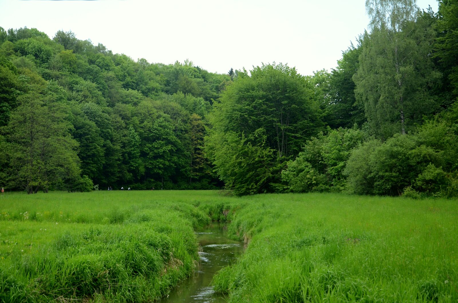 Nikon D7000 sample photo. Brook, river, the brook photography