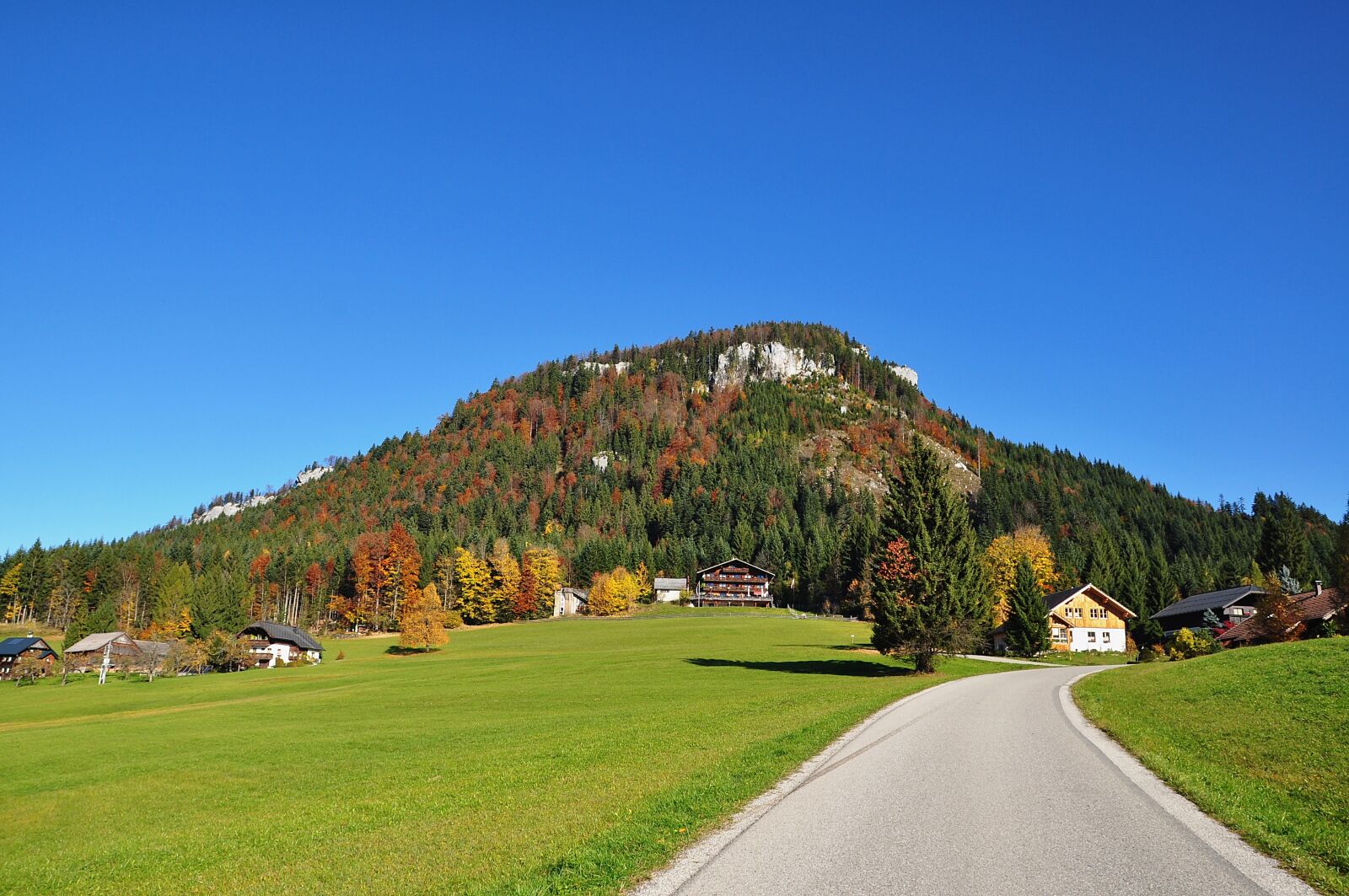 Nikon D90 sample photo. Autumn, autumn mood, nature photography
