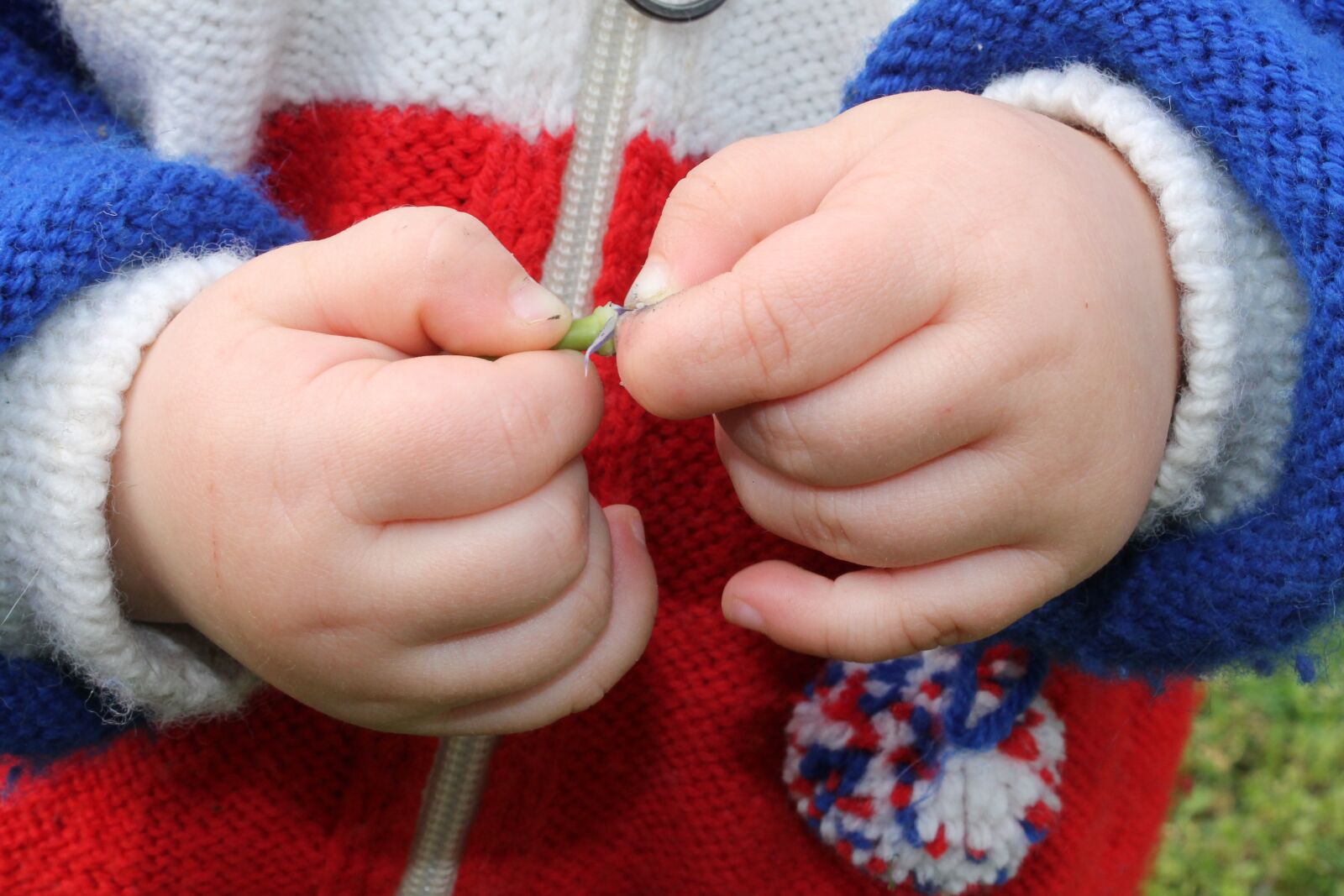 Canon EOS 1100D (EOS Rebel T3 / EOS Kiss X50) sample photo. Hands, child, bimbo photography
