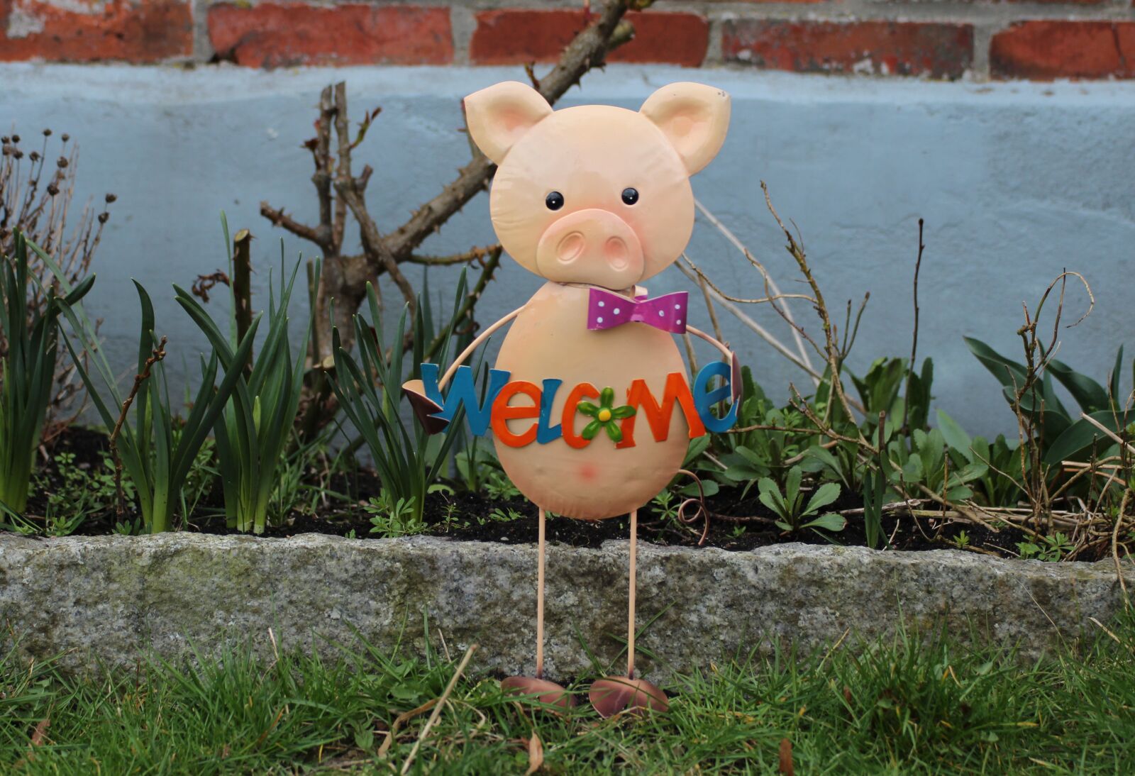 Canon EOS 600D (Rebel EOS T3i / EOS Kiss X5) sample photo. Figure, animal, pig photography