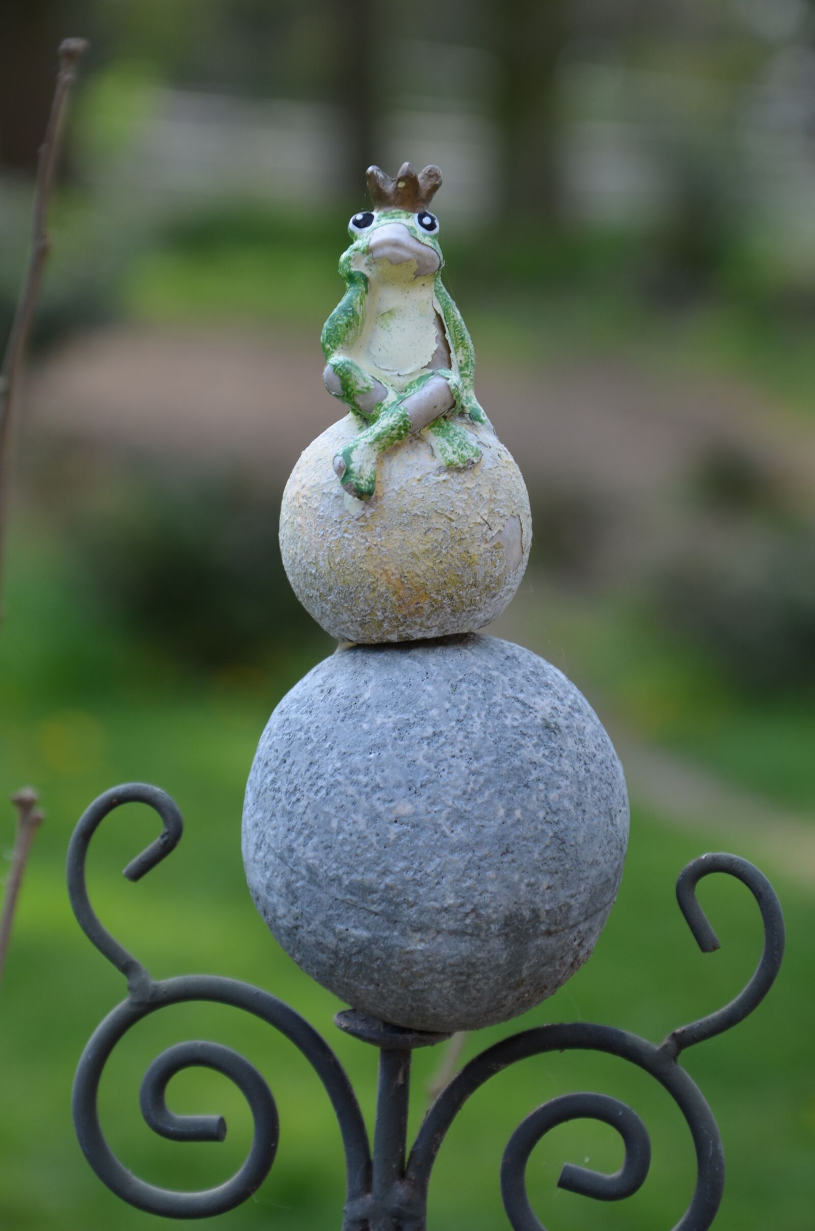 Nikon D7000 sample photo. Nature, frog, thoughtful photography
