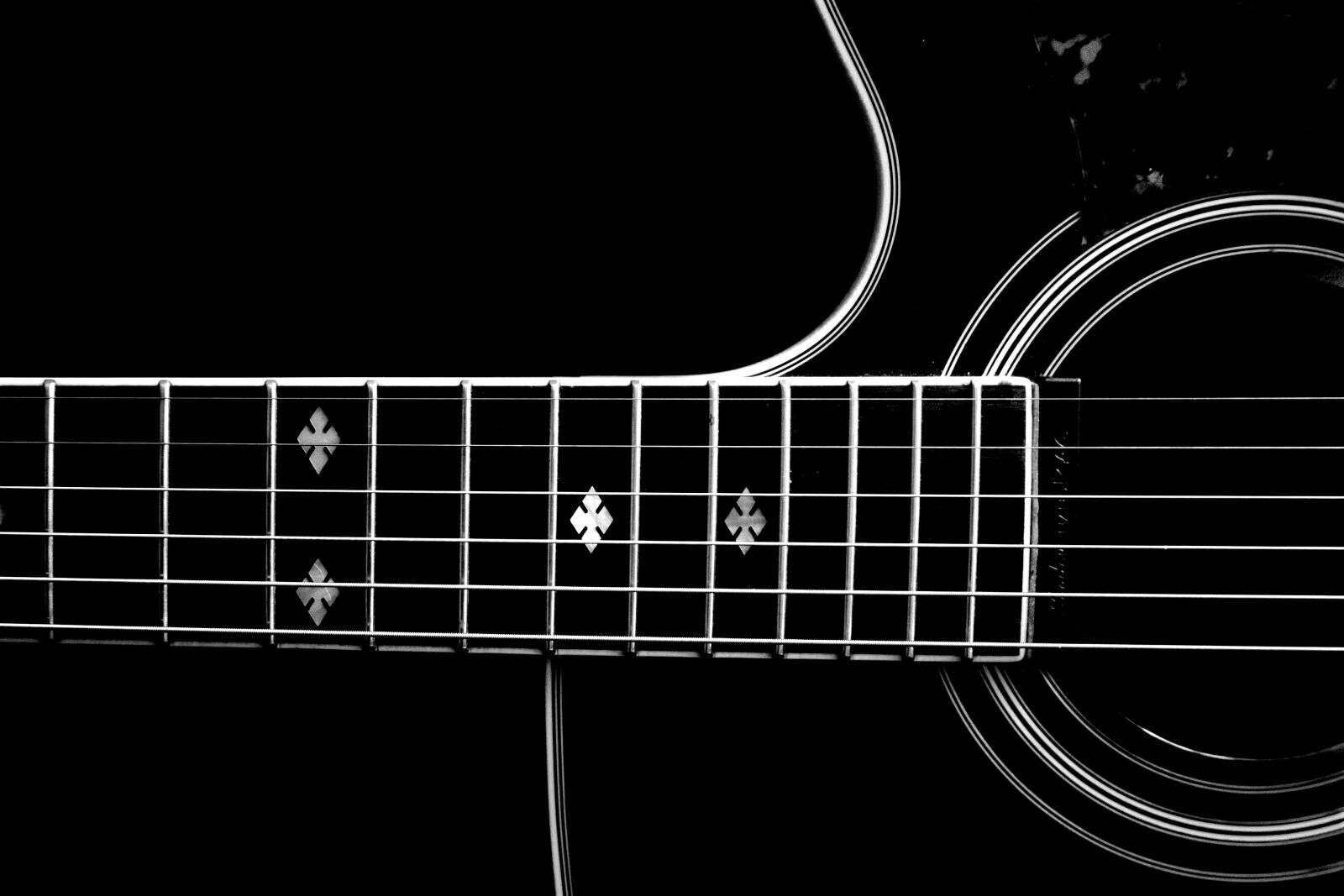 Canon EOS-1D X sample photo. Music, instrument, guitar photography