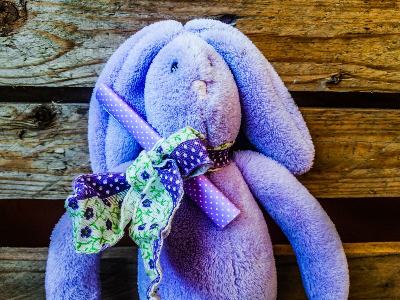 HUAWEI Mate 10 Lite sample photo. Easter, easter bunny, bunny photography