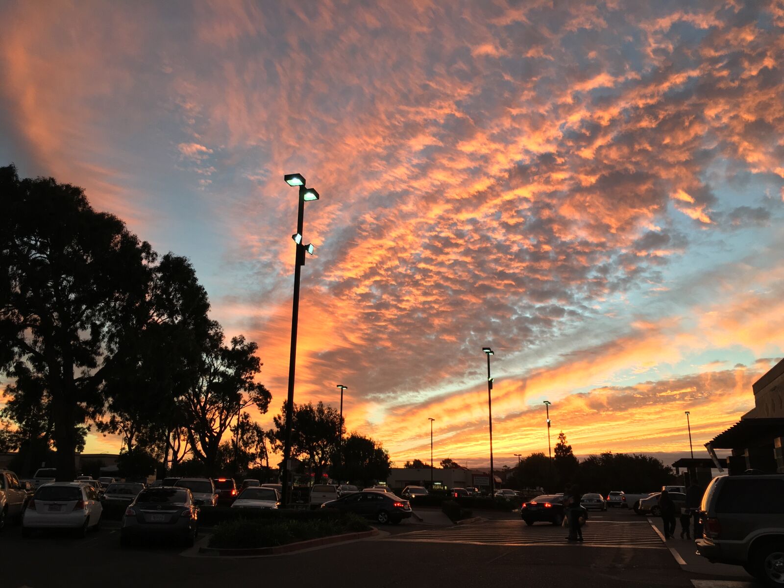 Apple iPhone 6s sample photo