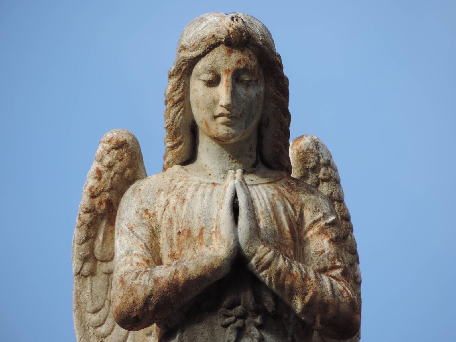 Nikon Coolpix P520 sample photo. Angel, art, bust, innocence photography