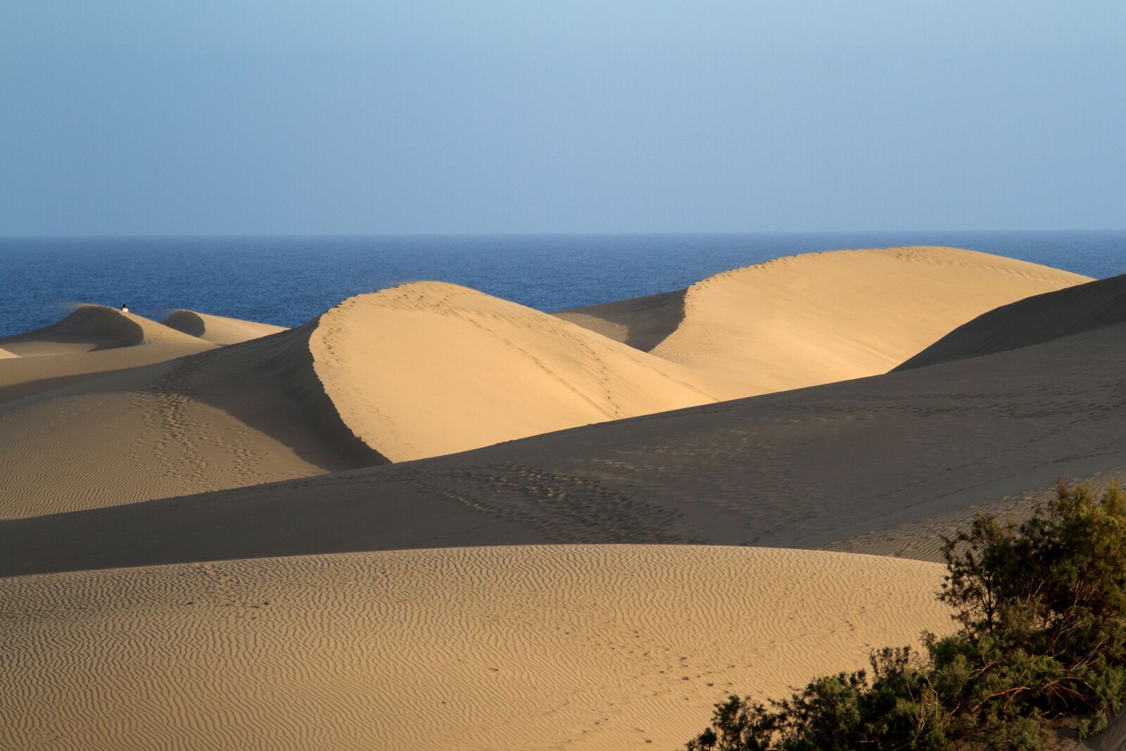 Canon EOS 7D sample photo. Maspalomas, dunes, sand dunes photography