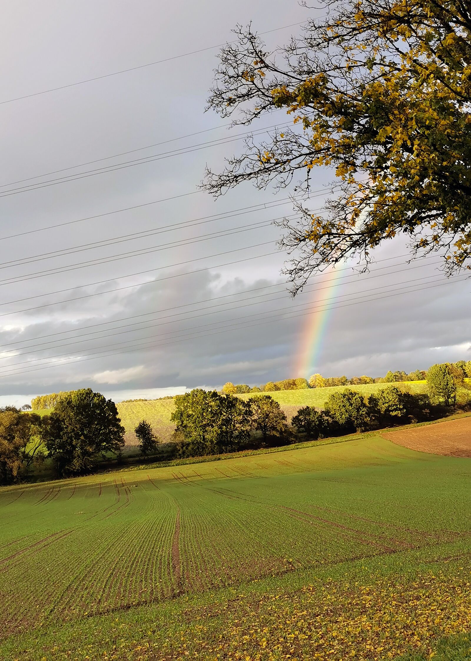 HUAWEI P30 sample photo. Rainbow, nature, landscape photography