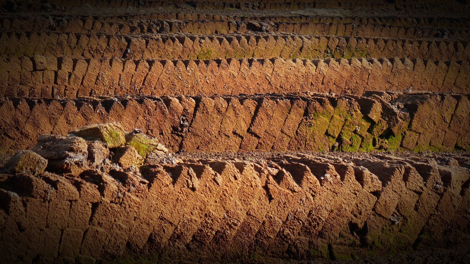 Panasonic Lumix DMC-FZ200 sample photo. Peat, potting soil, acquisition photography