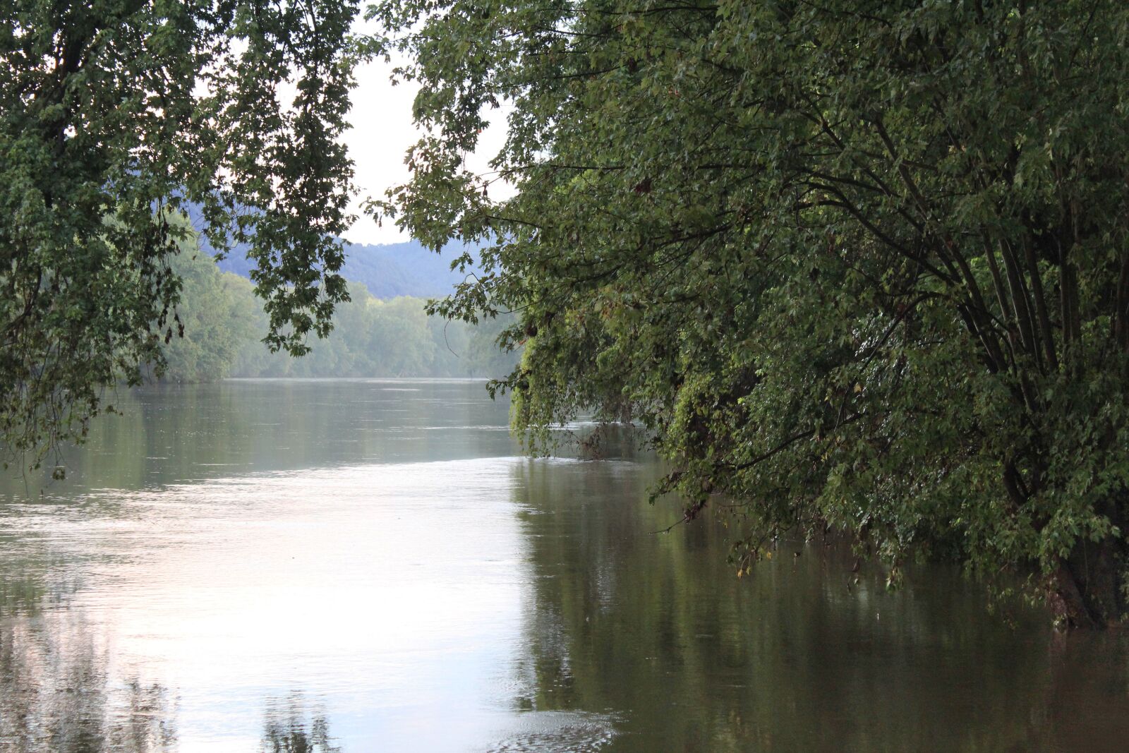 Canon EOS 600D (Rebel EOS T3i / EOS Kiss X5) sample photo. Shenandoah river, shenandoah valley photography